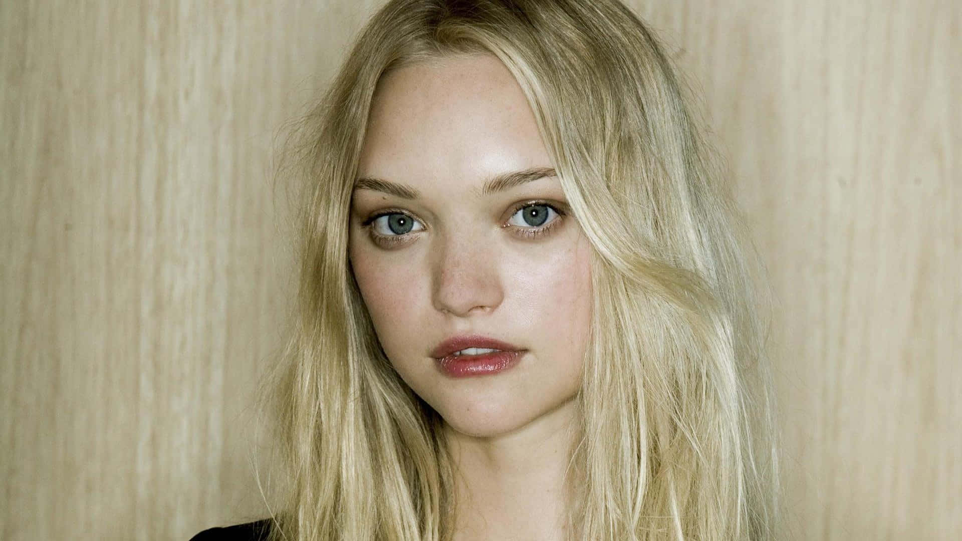 Gemma Ward 桌布 壁紙 — 一位金髮藍眼年輕女士的 close-up 肖像，背景為淺色木紋牆板。