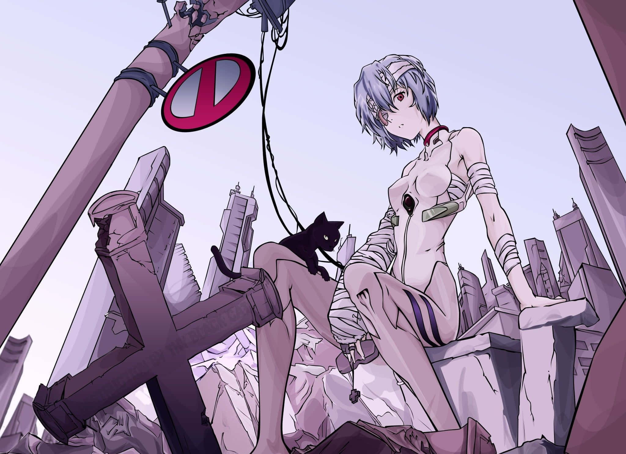 rei ayanami 桌布 壁紙 — 一位銀髮動漫女孩穿著白色緊身衣，與一隻黑貓坐在瓦礫上，周圍是蒼白天空下破碎的城市建築。