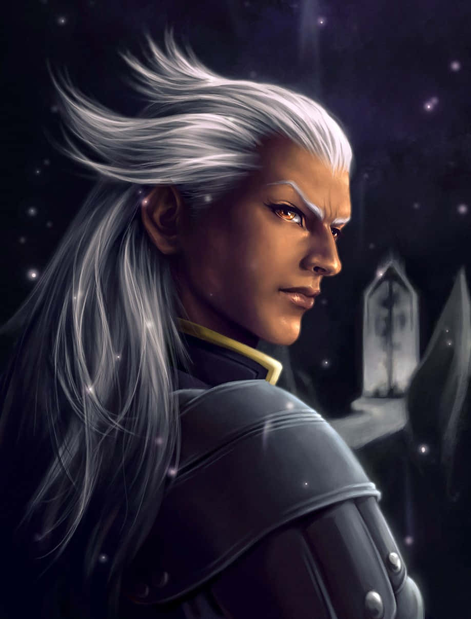 Ansem Seeker Of Darkness 桌布 壁紙 — 一位銀髮戰士身穿暗色鎧甲，在繁星點點的夜空與遠處城堡廢墟背景下堅定地凝視。