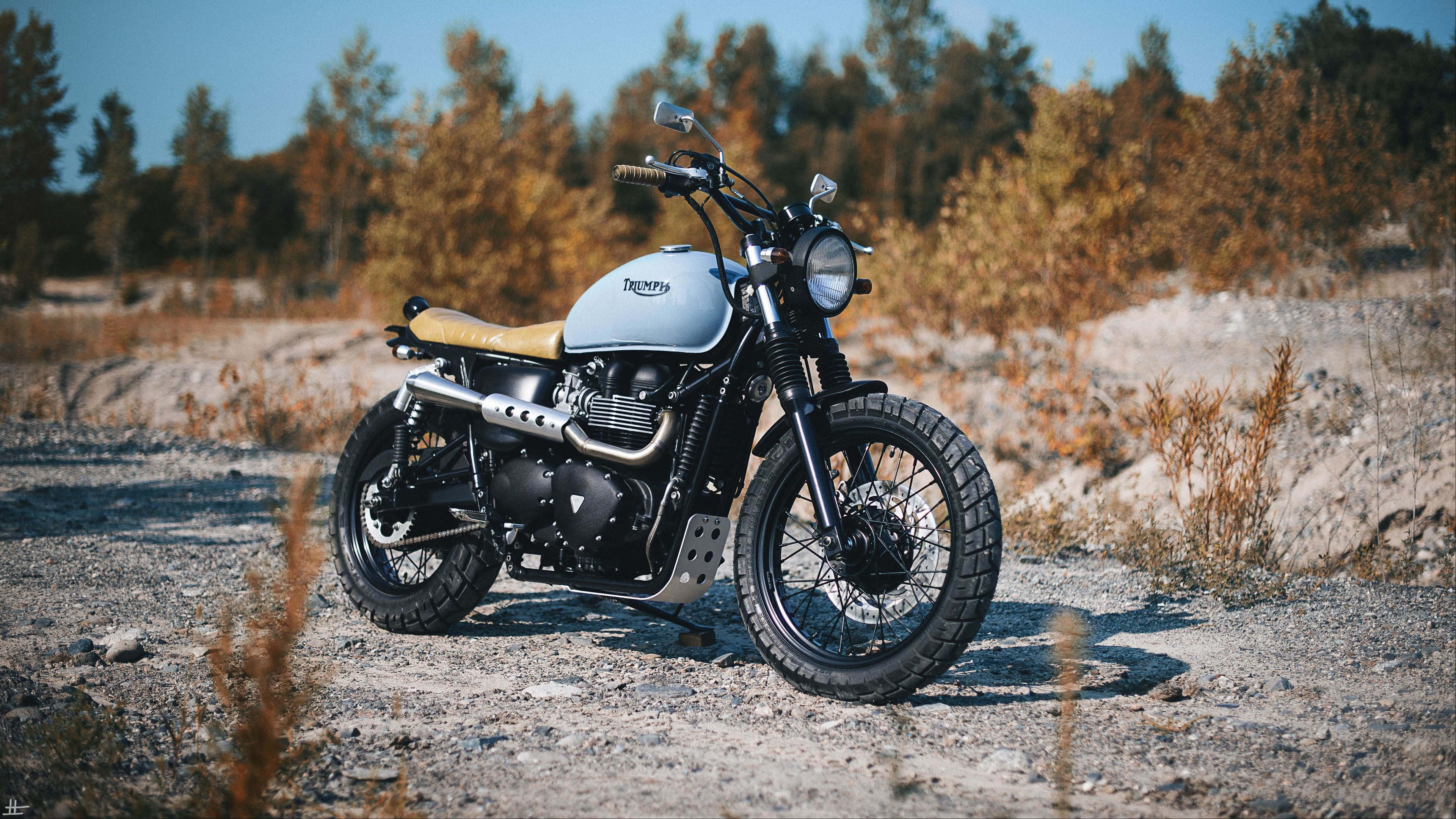 一位騎行者穿行於荒野中的4K畫質影像 壁紙 — 一輛銀色 Triumph 電單車配以棕褐色座椅，停泊在碎石地上，四周環繞著秋日樹木，天空清澈湛藍。