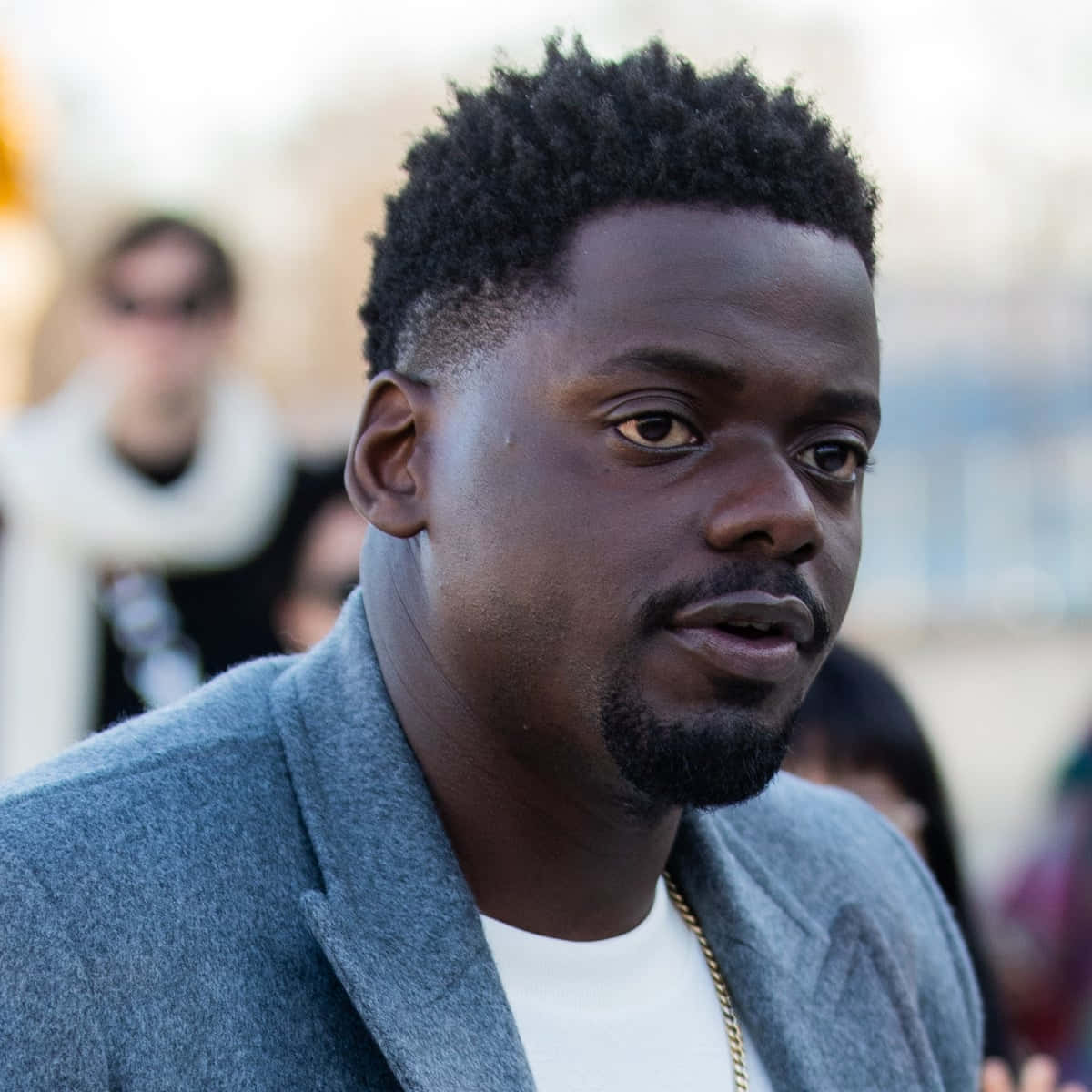 Daniel Kaluuya 桌布 壁紙 — 一位黑人的特寫肖像，短捲髮、留鬍鬚，身穿灰色外套和戴金鏈。