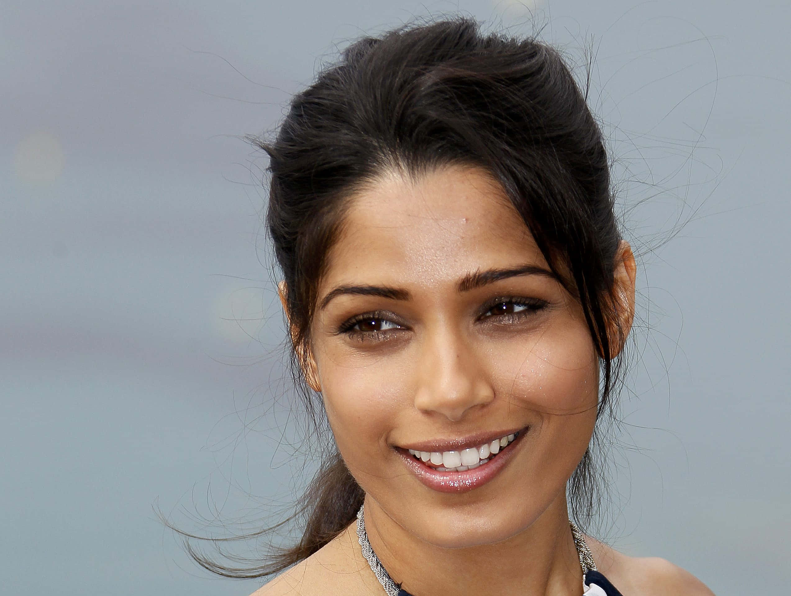Freida Pinto 桌布 壁紙 — 一位黑髮的燦爛女性在柔和模糊的背景前溫暖地微笑。