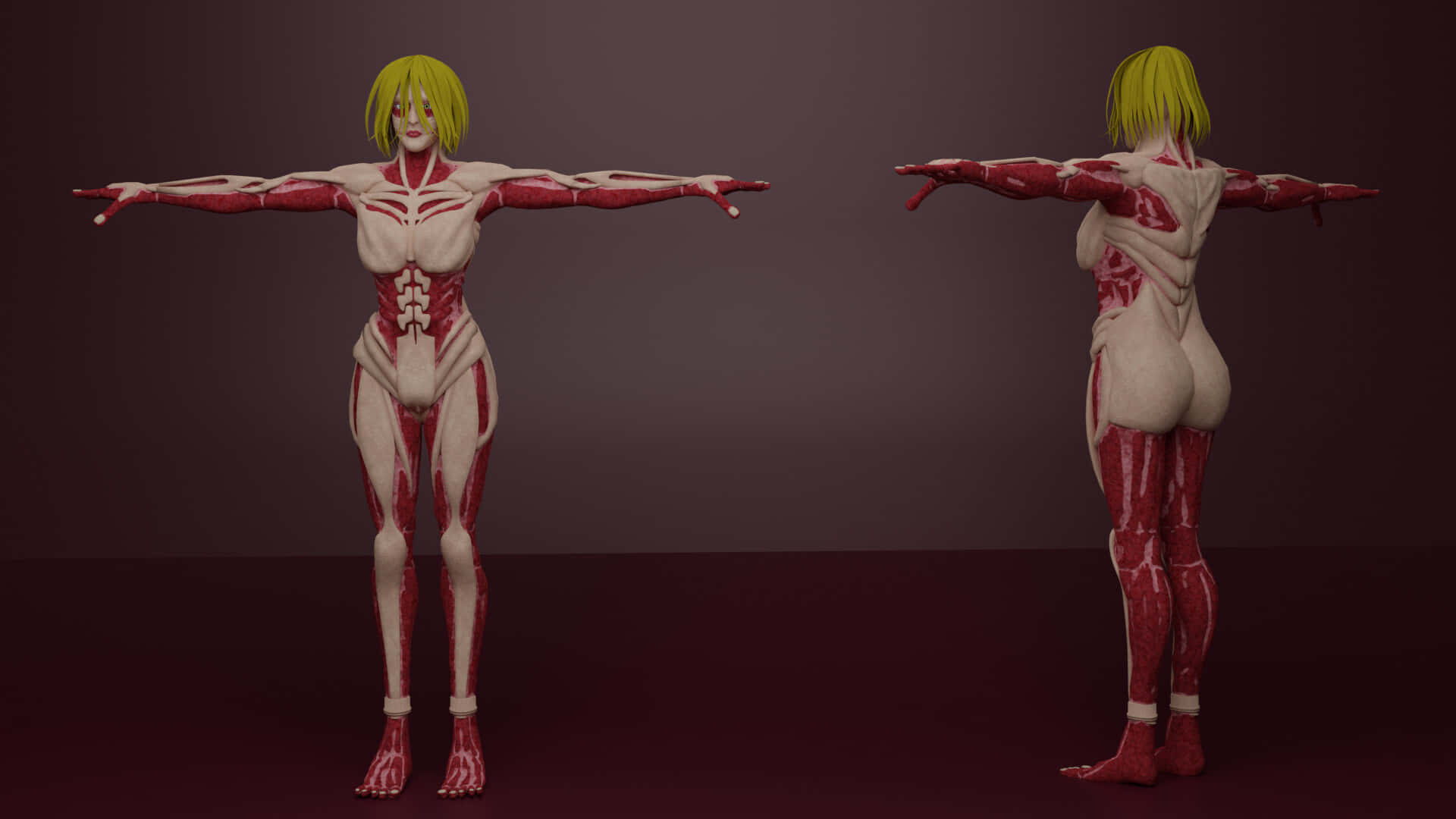 Female Titan 桌布 壁紙 — 一個3D渲染的女性形象，前後展示暴露的紅色肌肉解剖結構，背景為深酒紅色工作室背景。