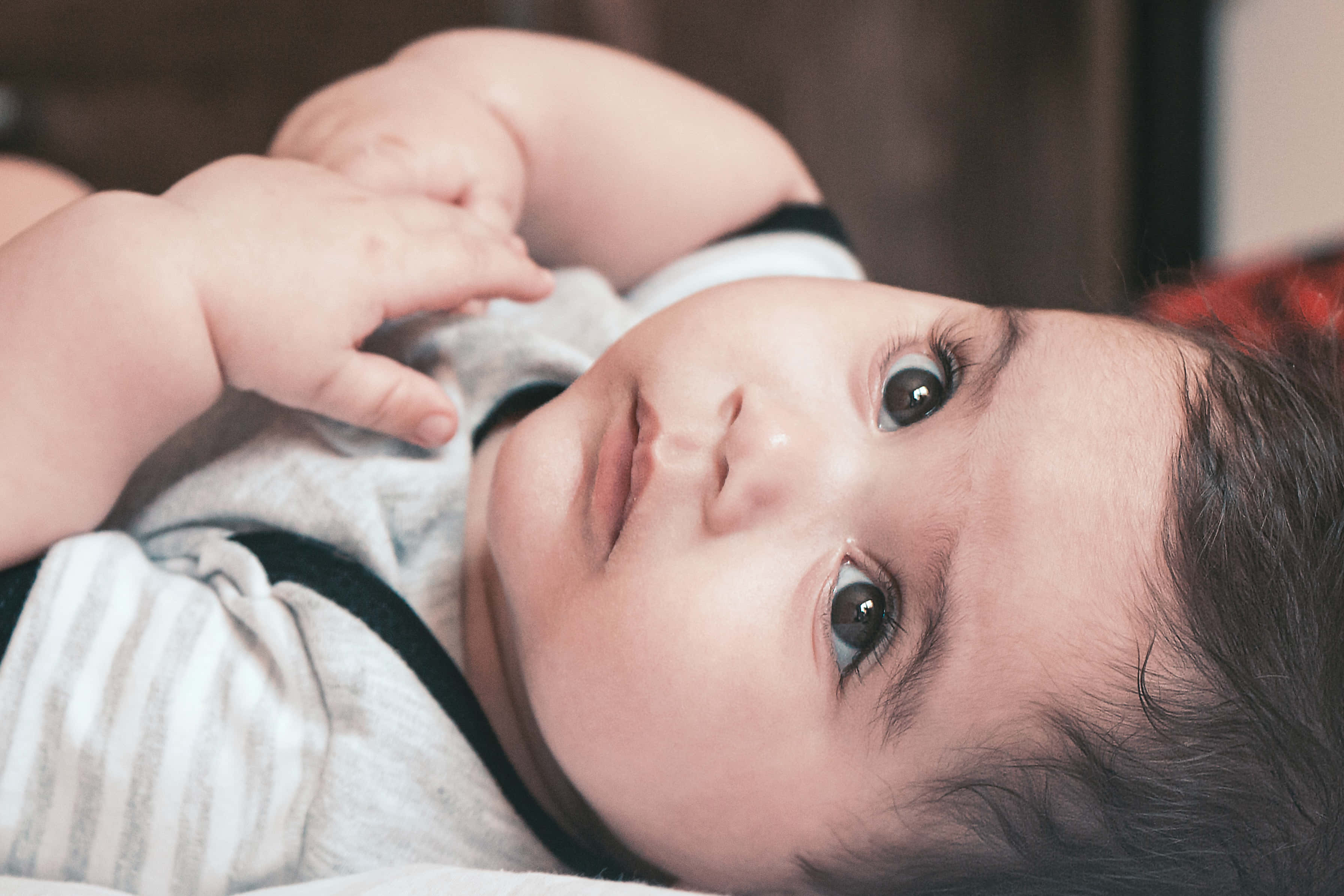 Baby Boy 桌布 壁紙 — 一個BB嘅特寫，佢仰臥，有對又大又好奇嘅眼，小手放喺面附近。