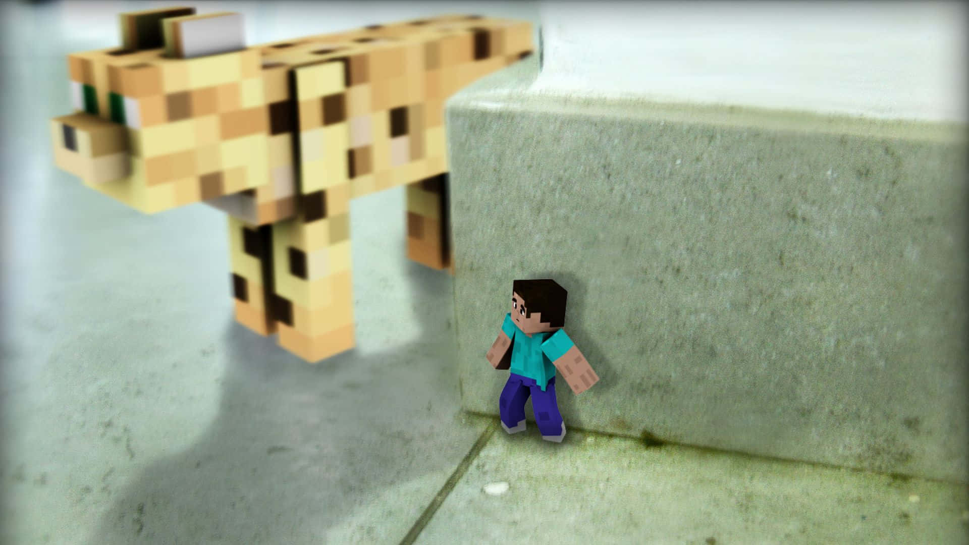 Minecraft Ocelot 桌布 壁紙 — 一個Minecraft玩家角色企喺一個像素化嘅獵豹旁邊，喺一個有柔和光線嘅混凝土房間入面。