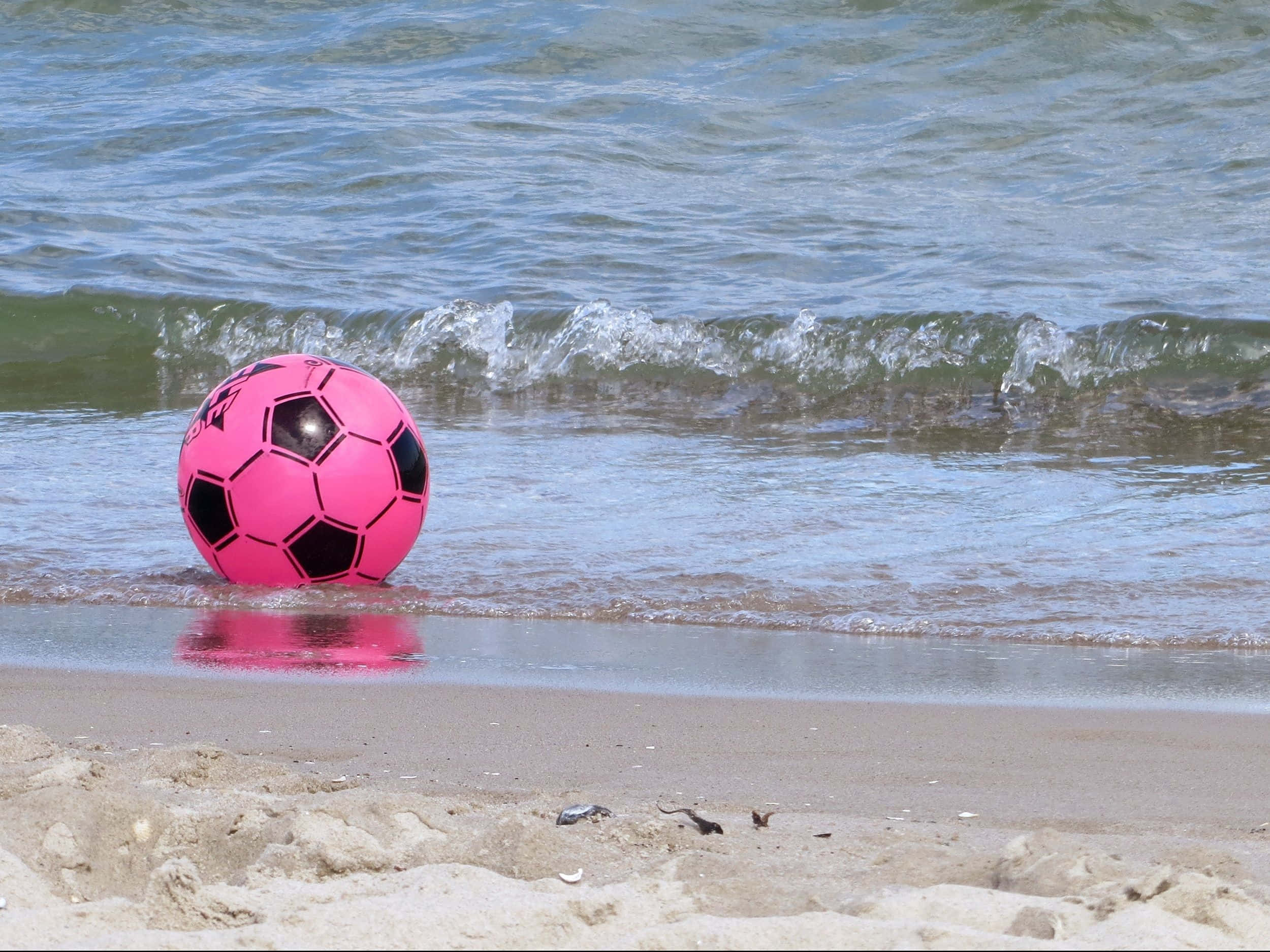 Pink Soccer Ball 桌布 壁紙 — 一個亮粉紅色的足球擱在水邊，溫柔的波浪拍打著沙灘。