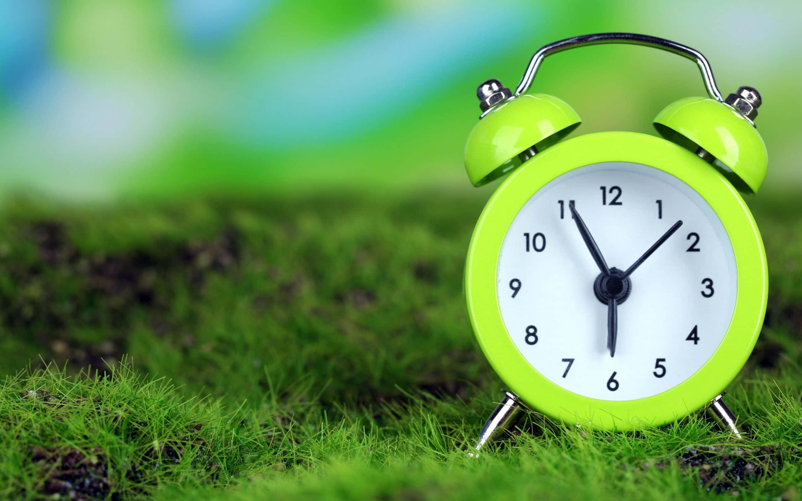 Time 桌布 壁紙 — 一個亮綠色的復古鬧鐘放在鮮綠色的草地上，背景柔和模糊的自然景色。