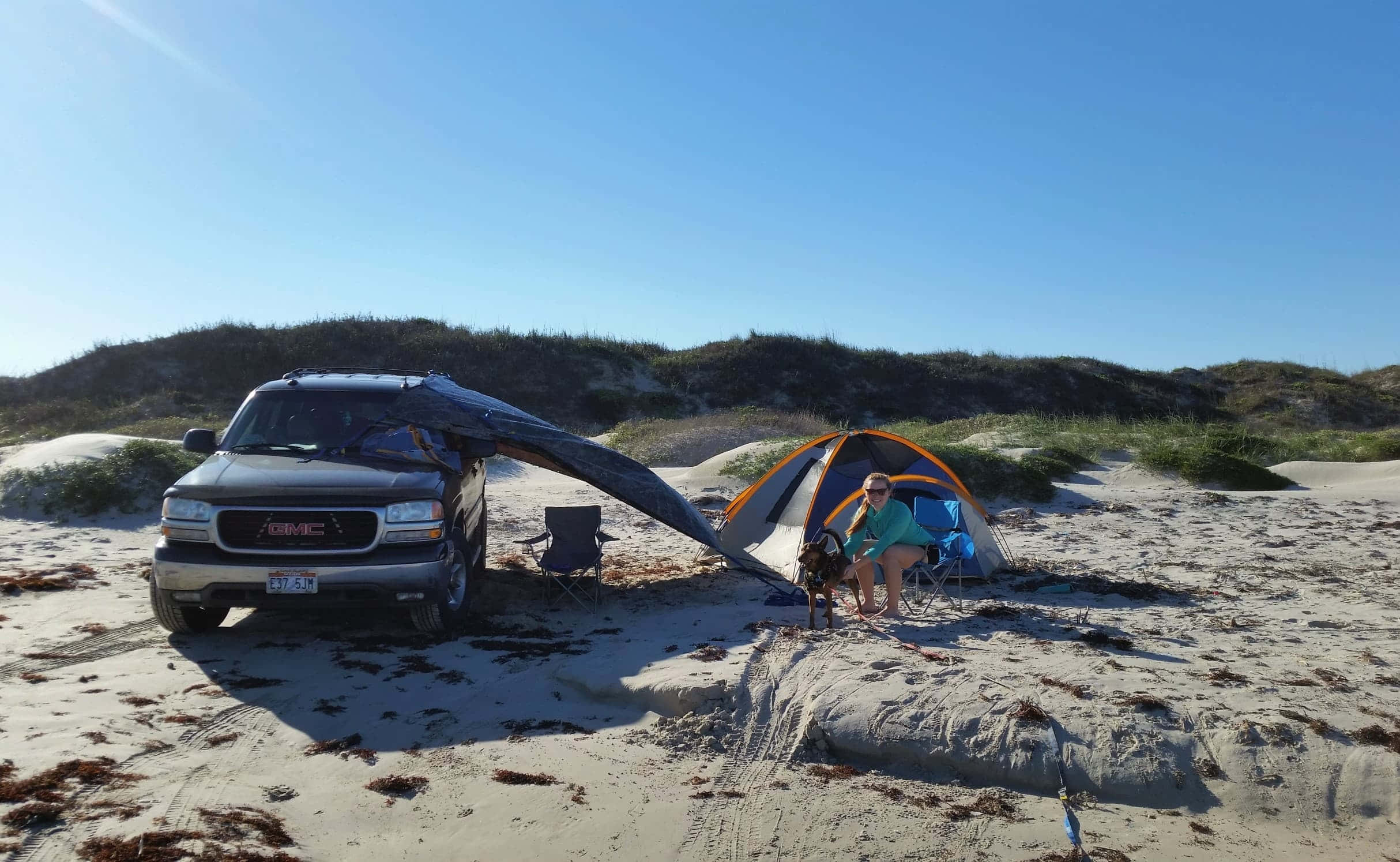 Beach Camping 桌布 壁紙 — 一個人同狗喺陽光普照、沙丘覆蓋嘅海岸上，喺貨車旁邊嘅沙灘帳篷入面放鬆。