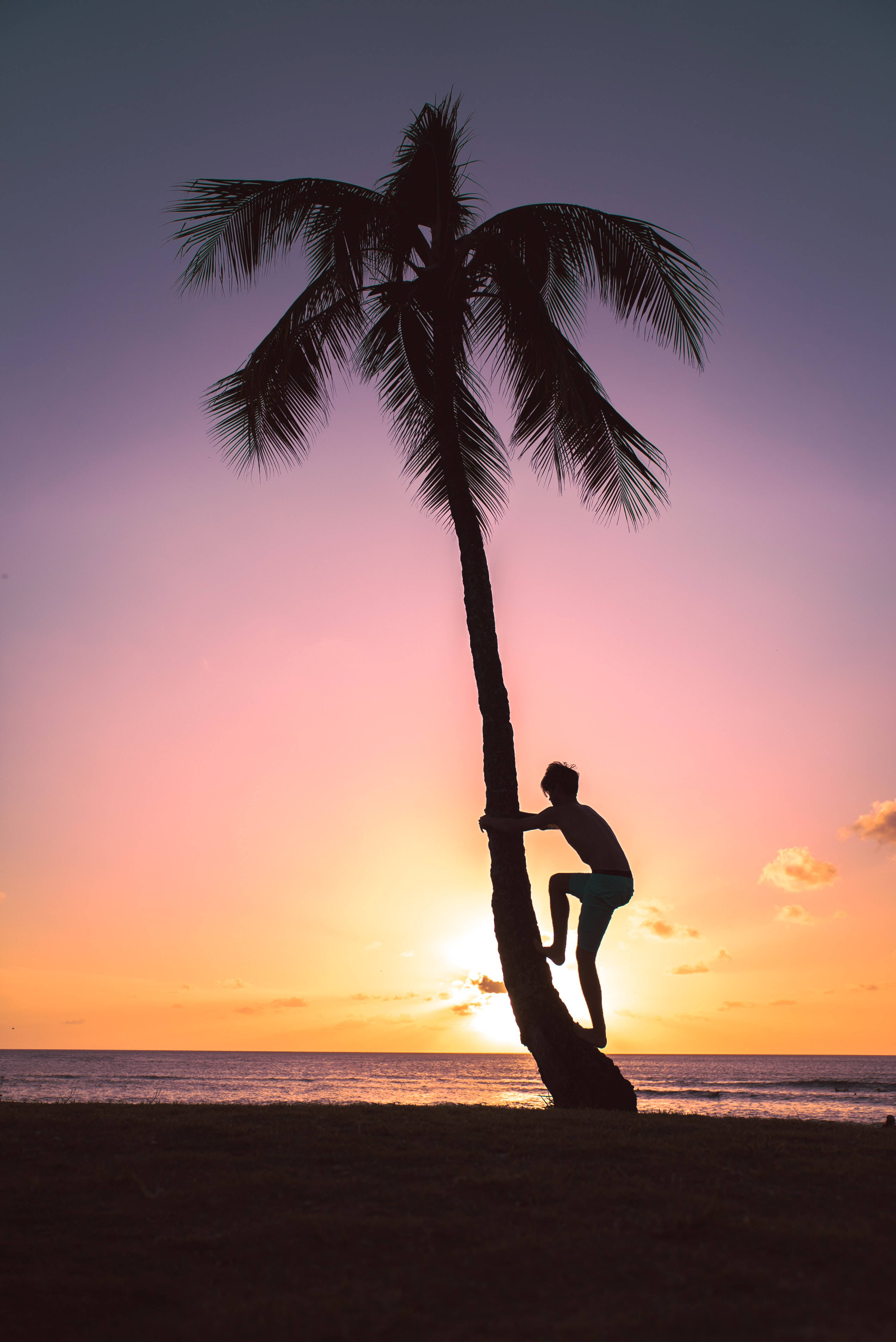 Silhouette 桌布 壁紙 — 一個人在日落時分在海灘上爬棕櫚樹的剪影，天空呈現鮮豔的橙色和紫色。