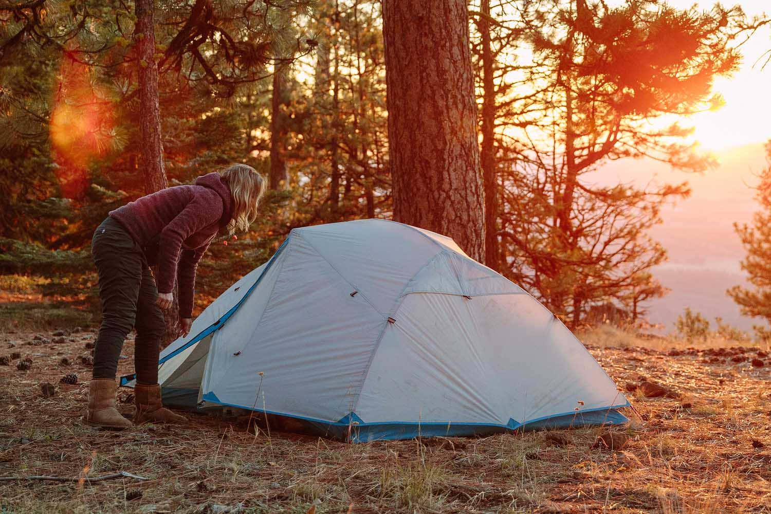 Outdoor 桌布 壁紙 — 一個人在松樹林中搭建白色帳篷，金色夕陽穿過樹林灑落。