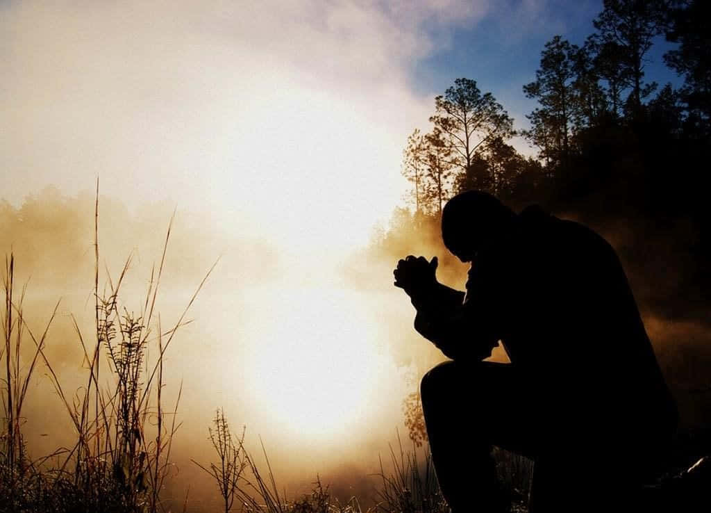Praying 桌布 壁紙 — 一個人在霧氣瀰漫的田野上，高草和樹木間，日出時跪地祈禱的剪影。