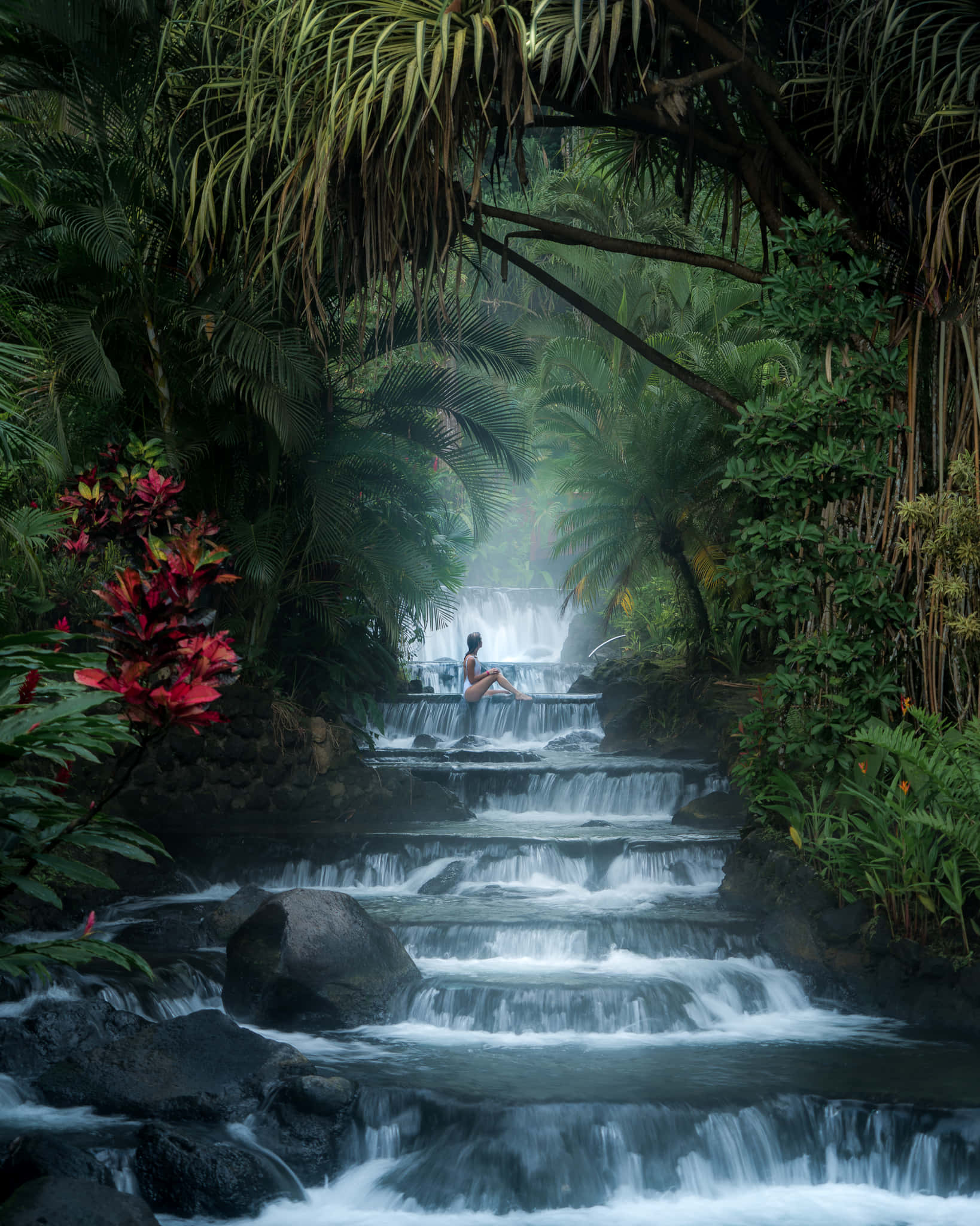 Costa Rica 桌布 壁紙 — 一個人平靜地坐在叢林瀑布中長滿苔蘚的石頭上，周圍環繞著茂密的綠色植物和鮮豔的紅色花朵。