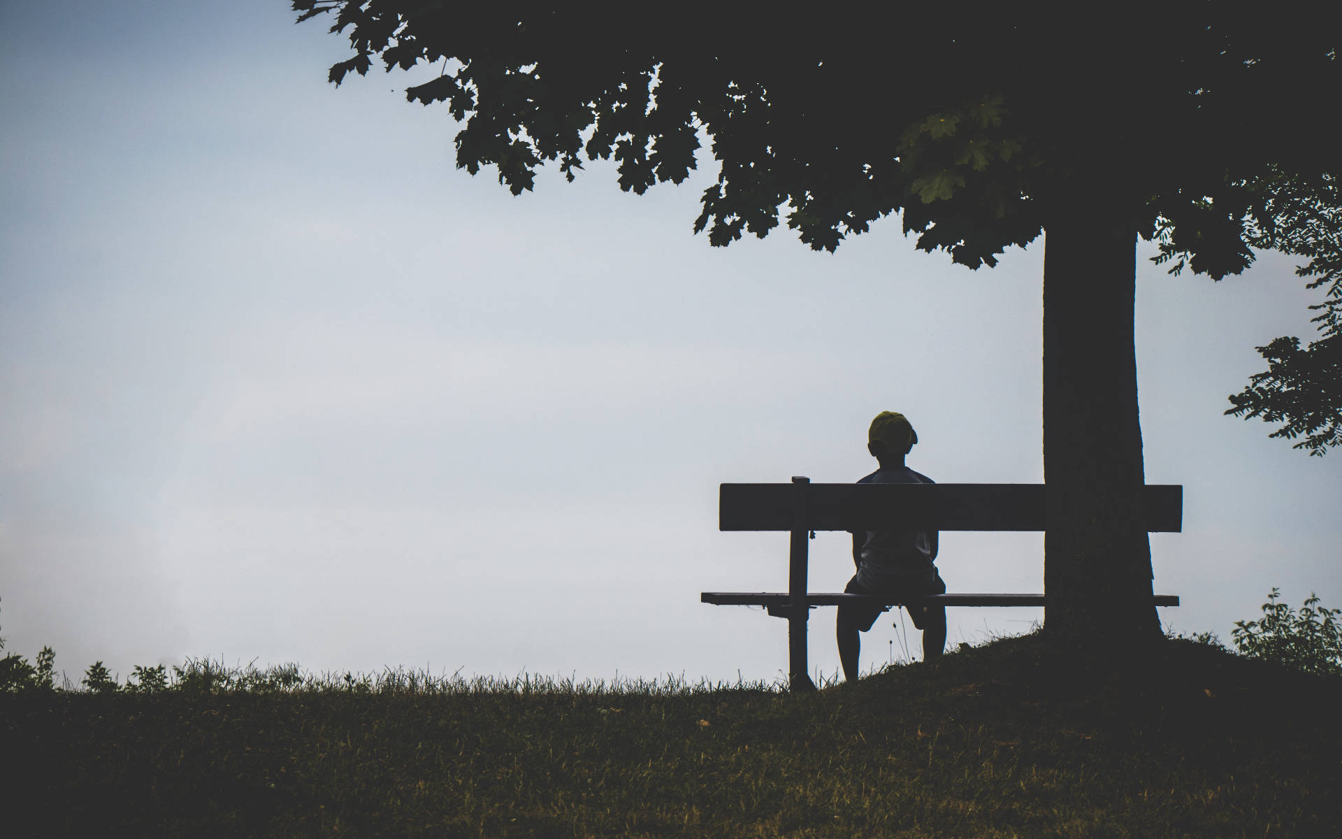 Alone 桌布 壁紙 — 一個人獨自坐在大樹下的長椅上，背景是柔和天空的剪影。