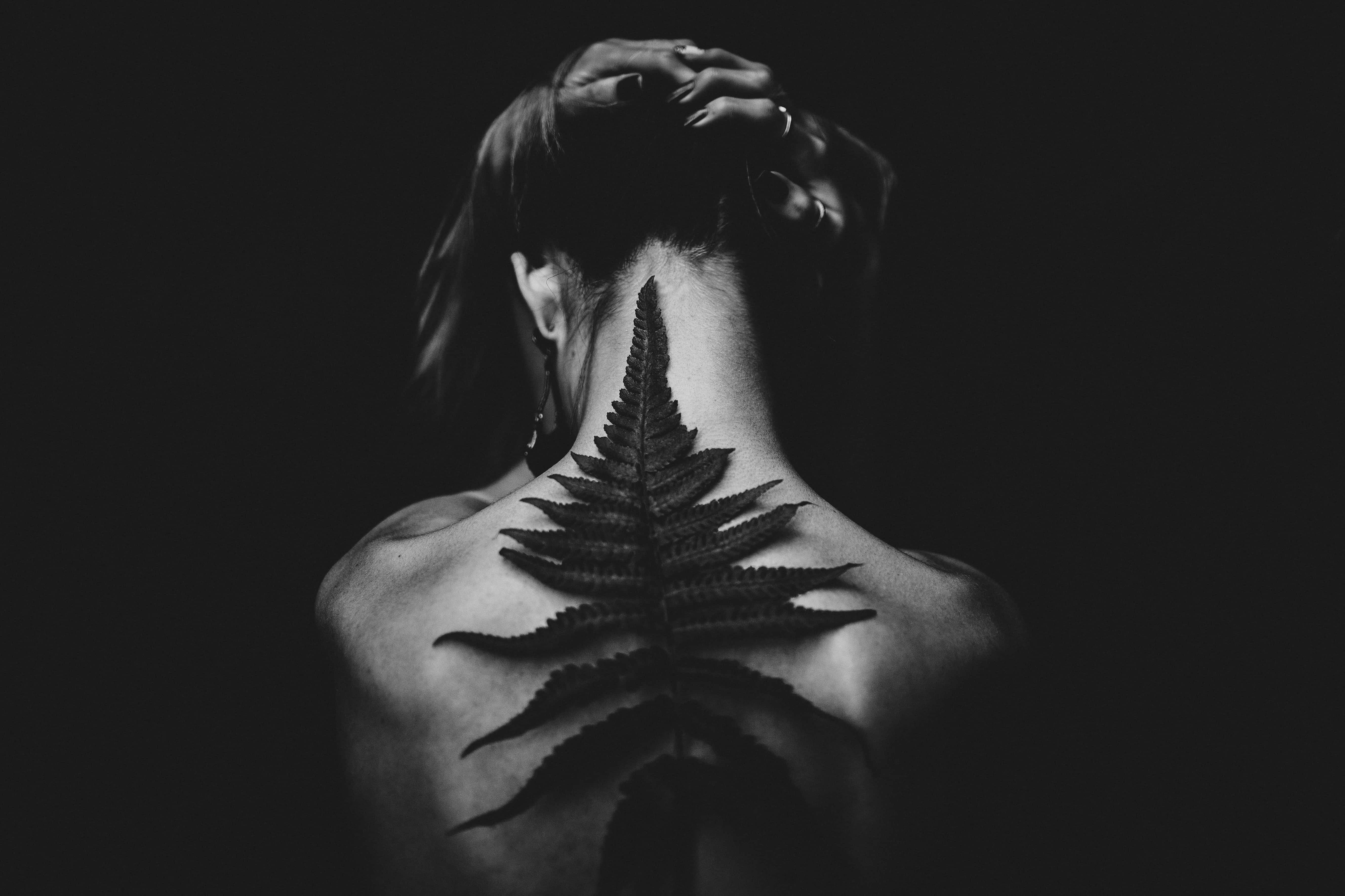 黑白美學 桌布 壁紙 — 一個人的背部，一個大型蕨類紋身沿著脊椎延伸，背景是純黑色。