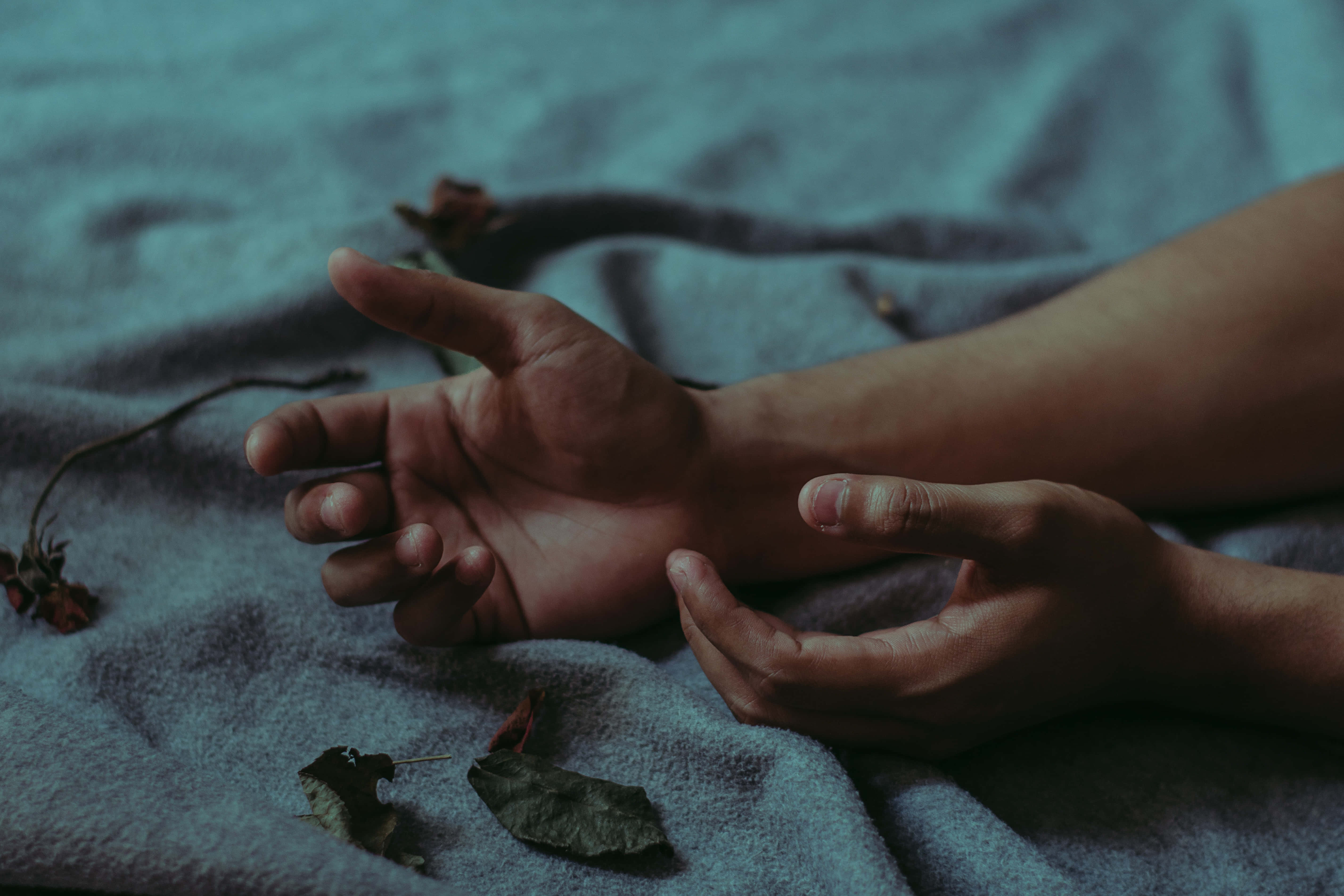 hands 桌布 壁紙 — 一個人的雙手輕輕放在有紋理的藍色毯子上，旁邊是乾燥的玫瑰莖和葉子，光線柔和昏暗。