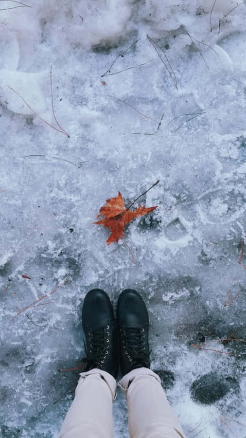 Snowshoes 桌布 壁紙 — 一個人的黑色靴子站在結冰的地面上，旁邊有一片鮮豔的橙色楓葉。