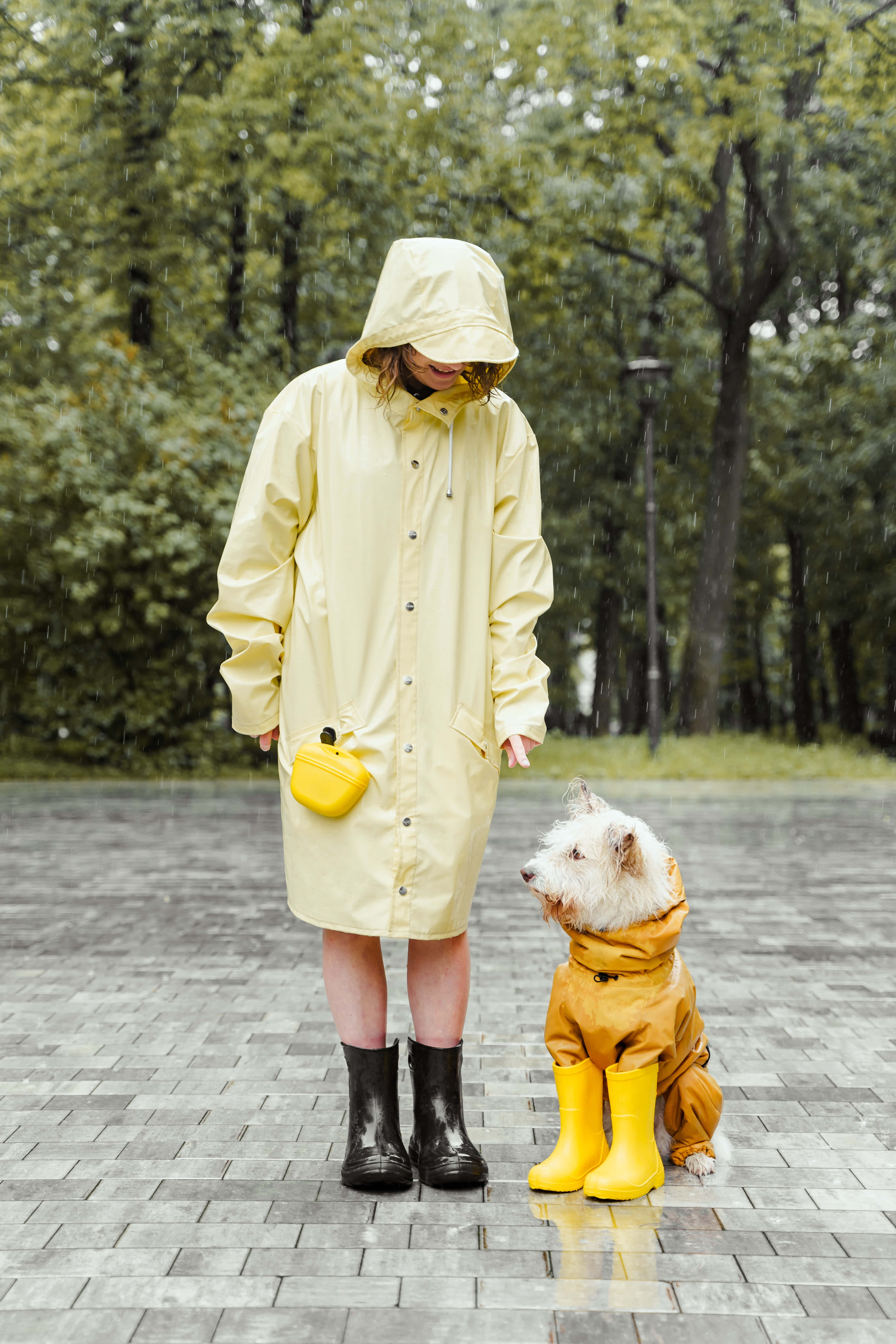 Yellow Raincoat 桌布 壁紙 — 一個人穿著淺黃色雨衣和黑色靴子，旁邊有一隻小狗穿著相配的黃色雨衣，站在濕漉漉的磚砌小徑上，雨點落下，背景是綠樹。