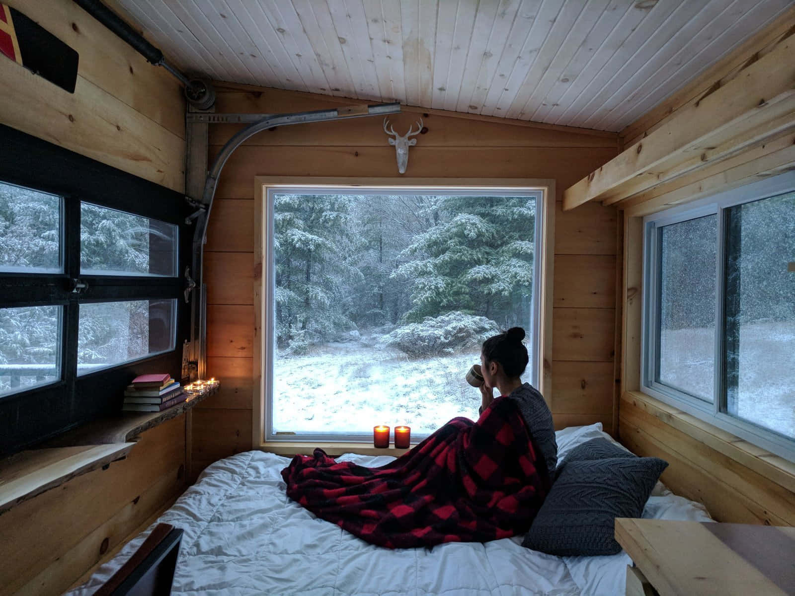 Cozy Winter Cabin 桌布 壁紙 — 一個人裹著紅色格仔毯子坐在木屋的床上，一邊喝茶，一邊看著窗外白雪覆蓋的森林。