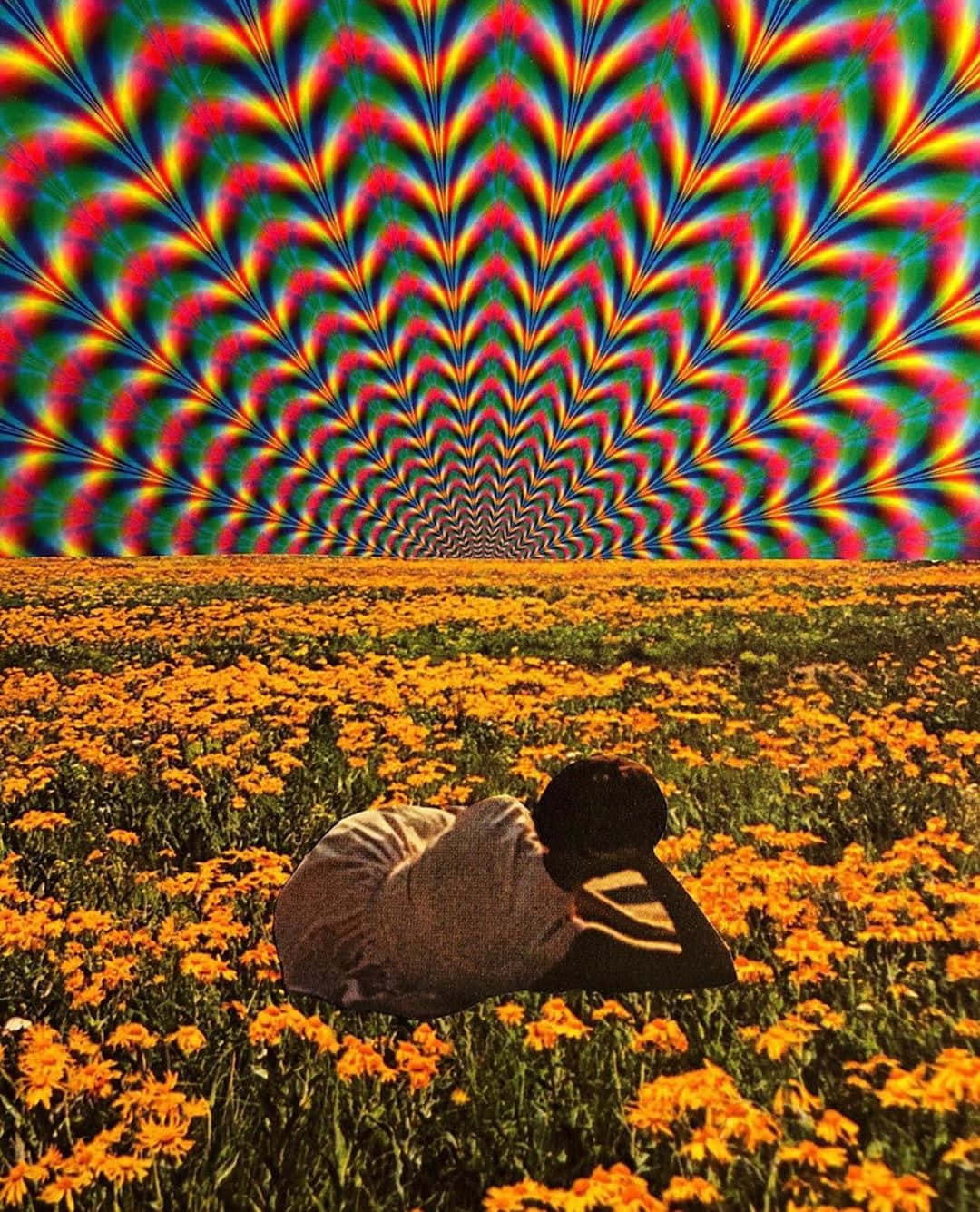 Trippy Art 桌布 壁紙 — 一個人躺在橙色花田裡，上方是迷幻彩虹漩渦天空。