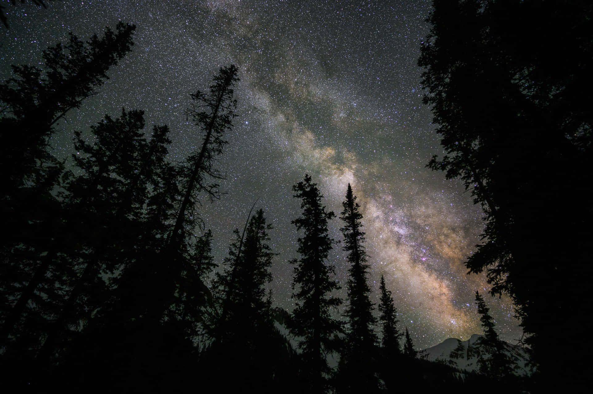 Aesthetic Night Sky 桌布 壁紙 — 一個令人嘆為觀止的夜空，佈滿星星和銀河，拱形在黑暗的松樹剪影和遠處白雪覆蓋的山脈之上。