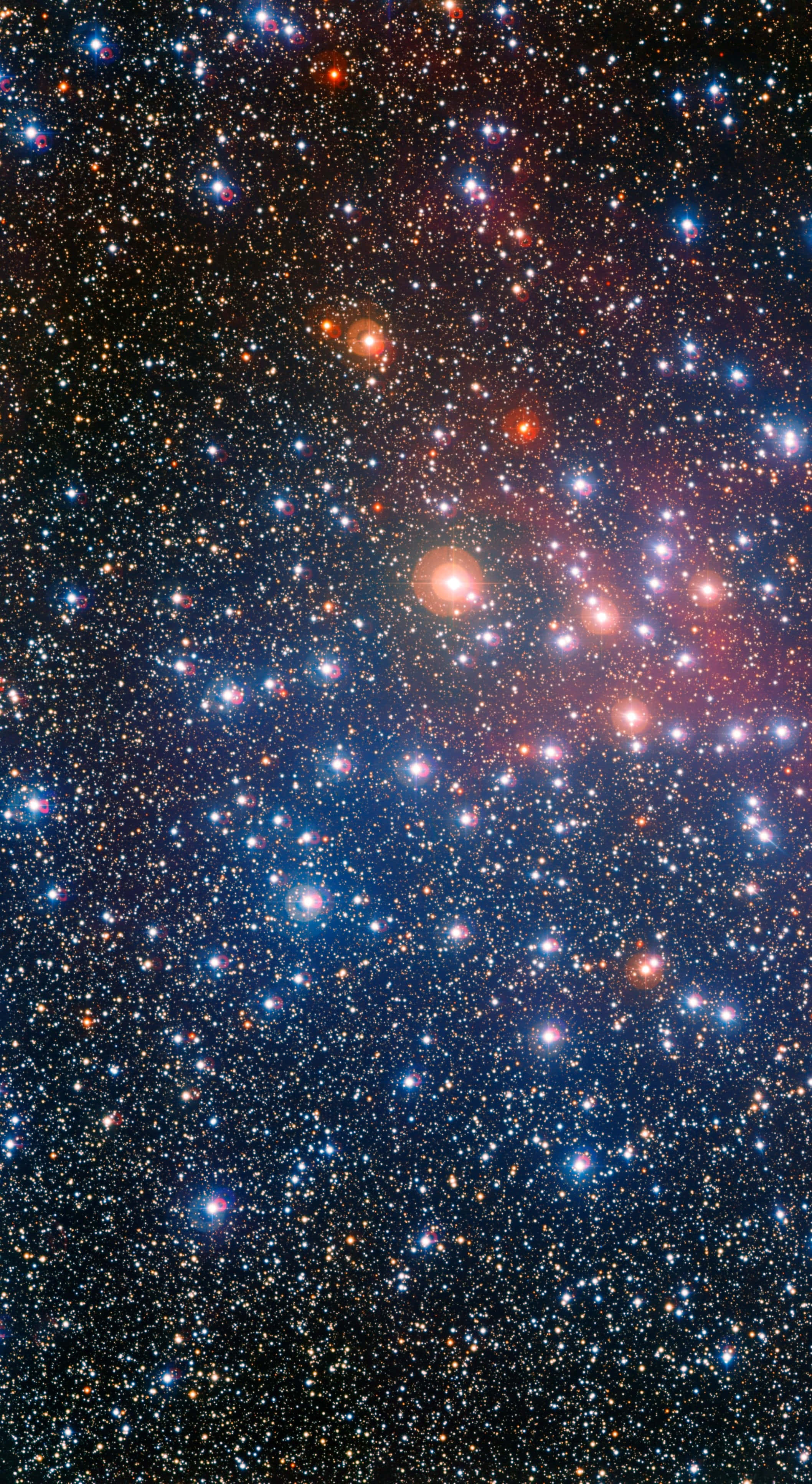 Star Cluster 桌布 壁紙 — 一個令人嘆為觀止的密集星場，發光的橙色和藍色星星映襯著深邃的宇宙黑色背景。