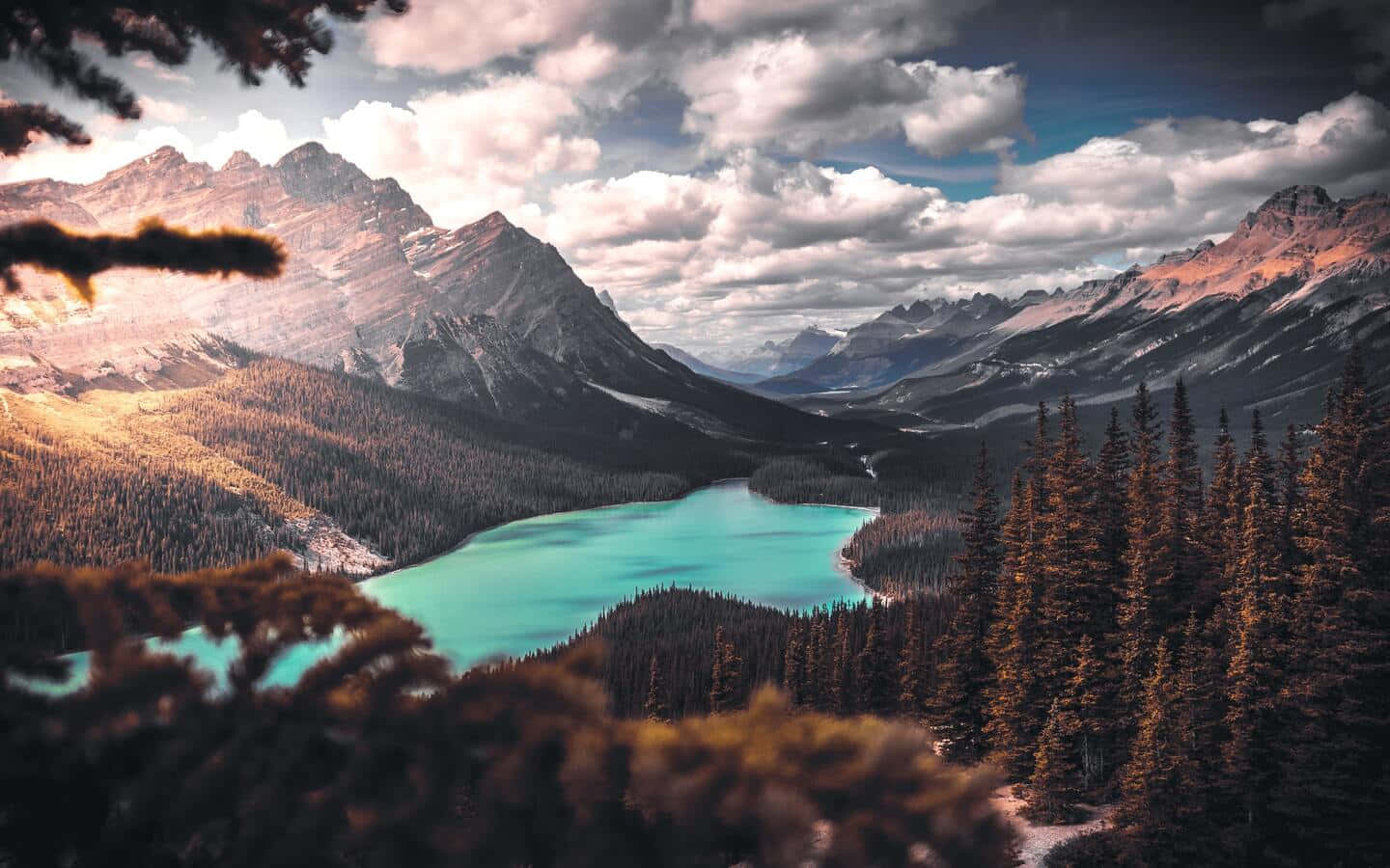 Breathtaking 桌布 壁紙 — 一個令人嘆為觀止的山谷，在戲劇性的多雲天空下，翠綠色的湖泊 nestled 在茂密的松樹林中。