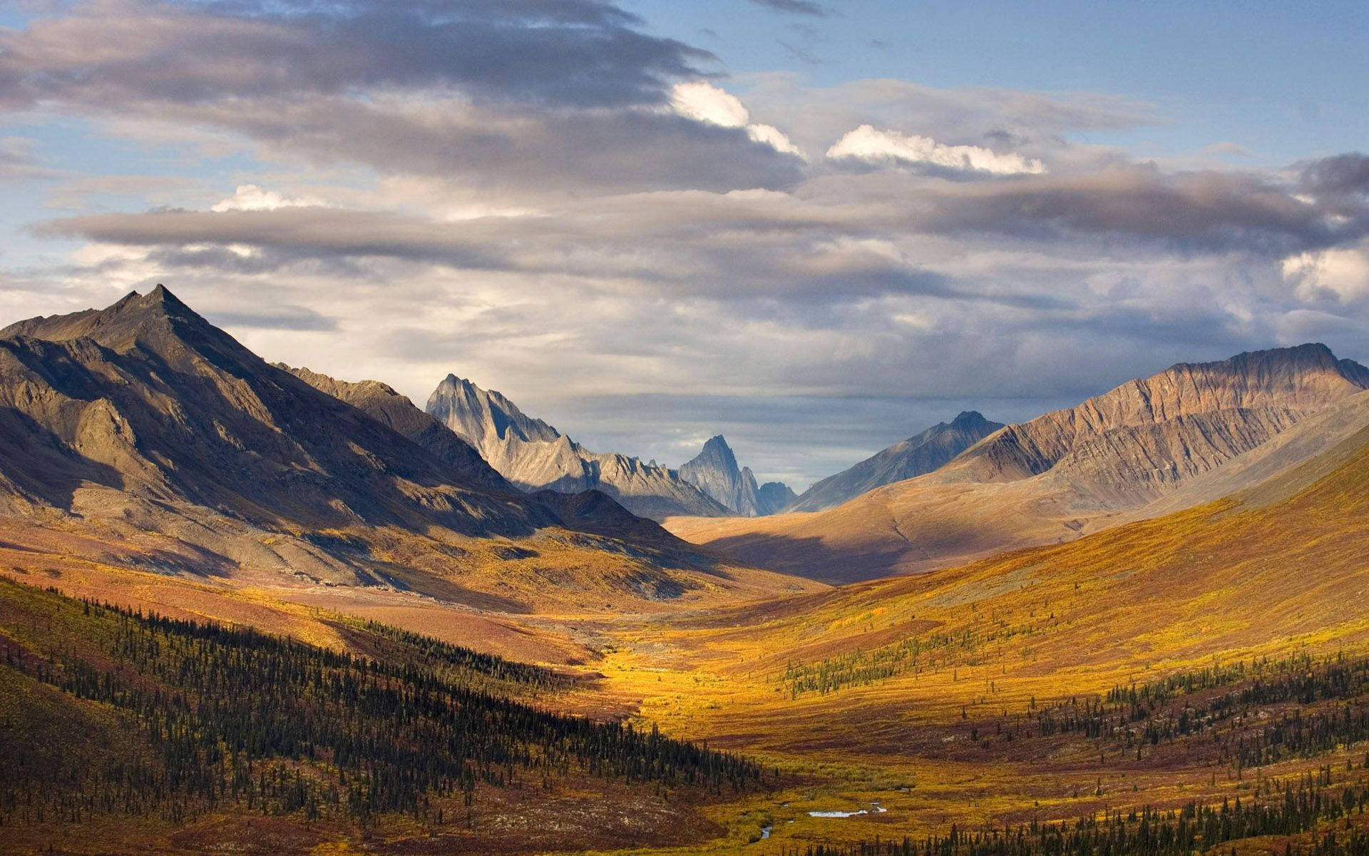 Canada 桌布 壁紙 — 一個令人嘆為觀止的山谷，沐浴在金黃色的秋光中，頭頂上戲劇性的雲層。