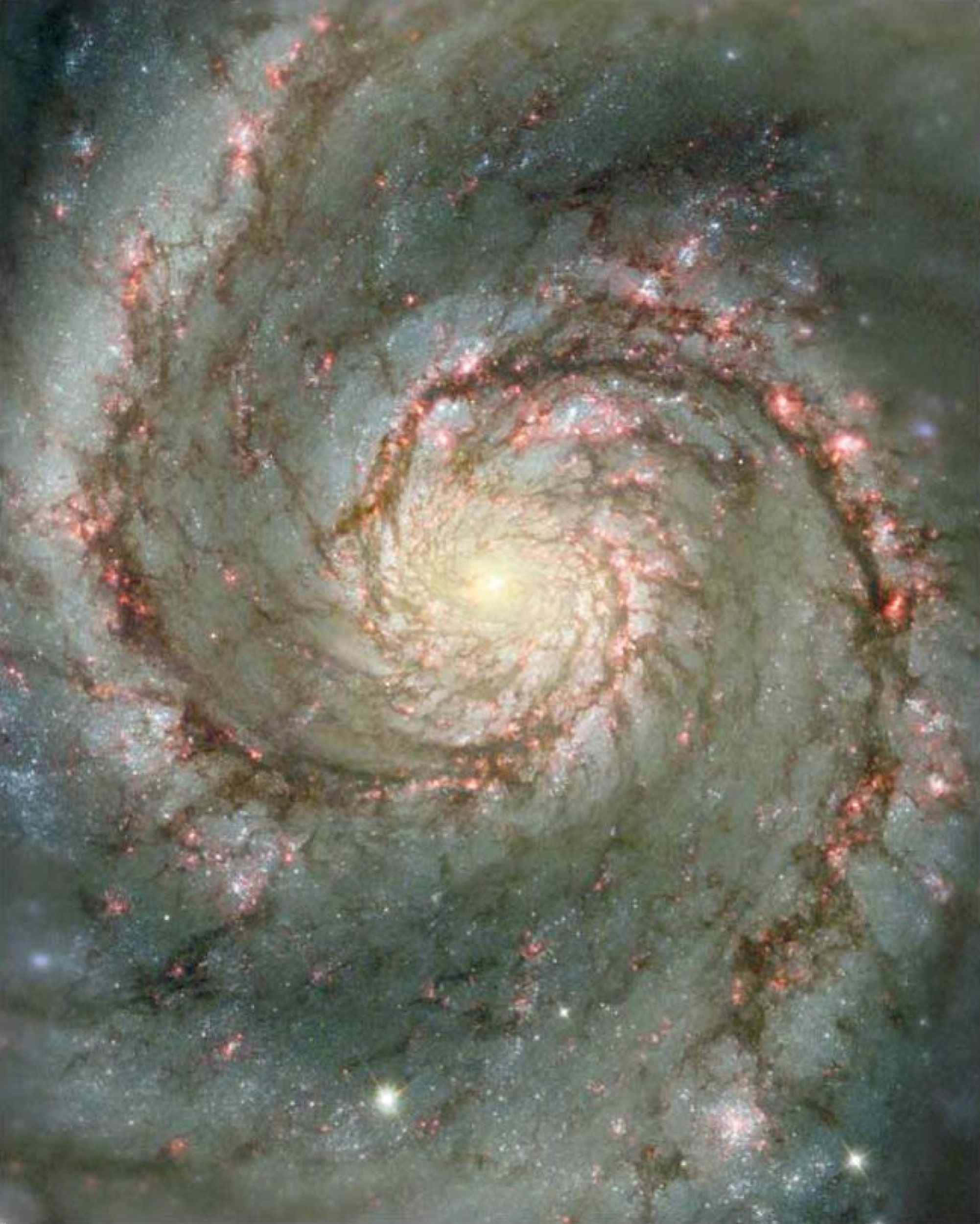 Whirlpool Galaxy 桌布 壁紙 — 一個令人嘆為觀止的螺旋星系，在深邃的宇宙背景下，旋轉著發光的粉紅色星團和塵埃臂。