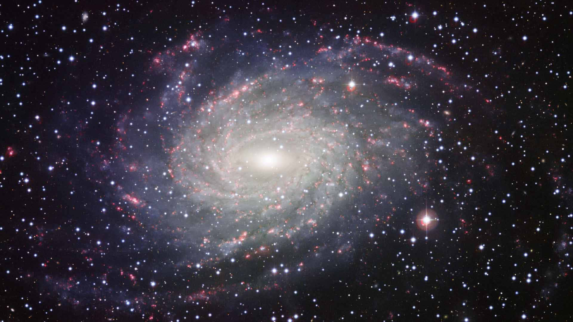 Spiral Galaxy 桌布 壁紙 — 一個令人嘆為觀止的螺旋星系，在繁星點點的宇宙虛空中旋轉著發光的粉紅色和白色旋臂。