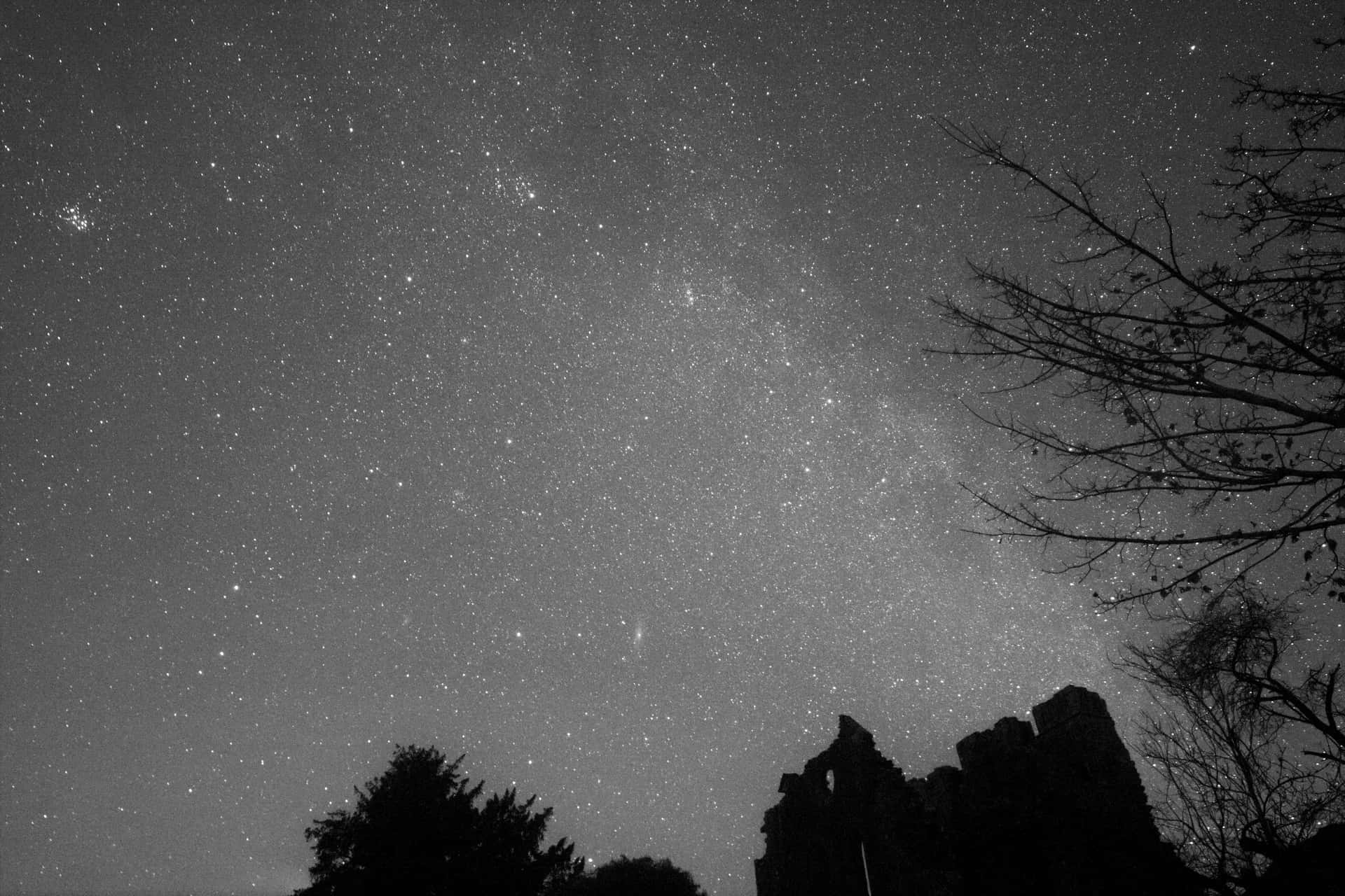 Aesthetic Night Sky 桌布 壁紙 — 一個令人嘆為觀止的黑白夜空，充滿無數星星和銀河，拱形掠過剪影般的樹木和古代遺跡。