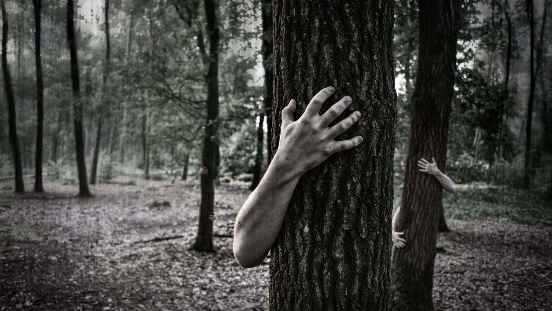 Haunted Forests 桌布 壁紙 — 一個令人毛骨悚然的森林場景，蒼白的手從樹幹中伸出，營造出冰冷而神秘的氛圍。