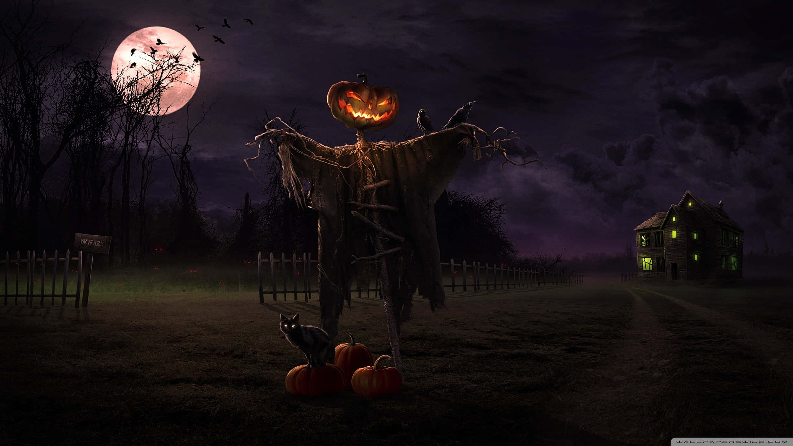 Spooky Halloween 桌布 壁紙 — 一個令人毛骨悚然的稻草人，頭部是發光的傑克南瓜燈，站在滿月下的鬼魅田野中，附近有一隻黑貓在觀看。