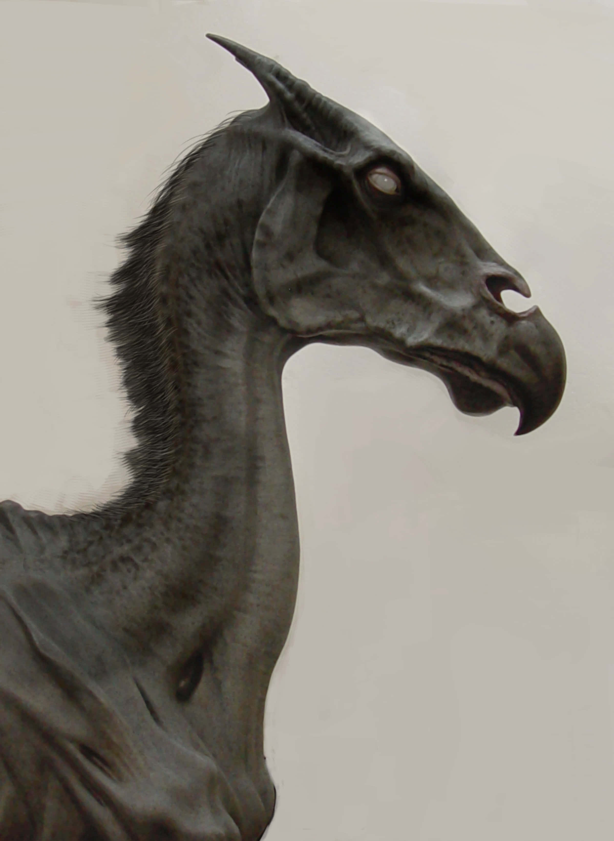 Thestral 桌布 壁紙 — 一個令人毛骨悚然的詳細數碼肖像，描繪了一種深灰色的神話生物，具有馬狀的頭和鳥狀的喙，背景是純色的。