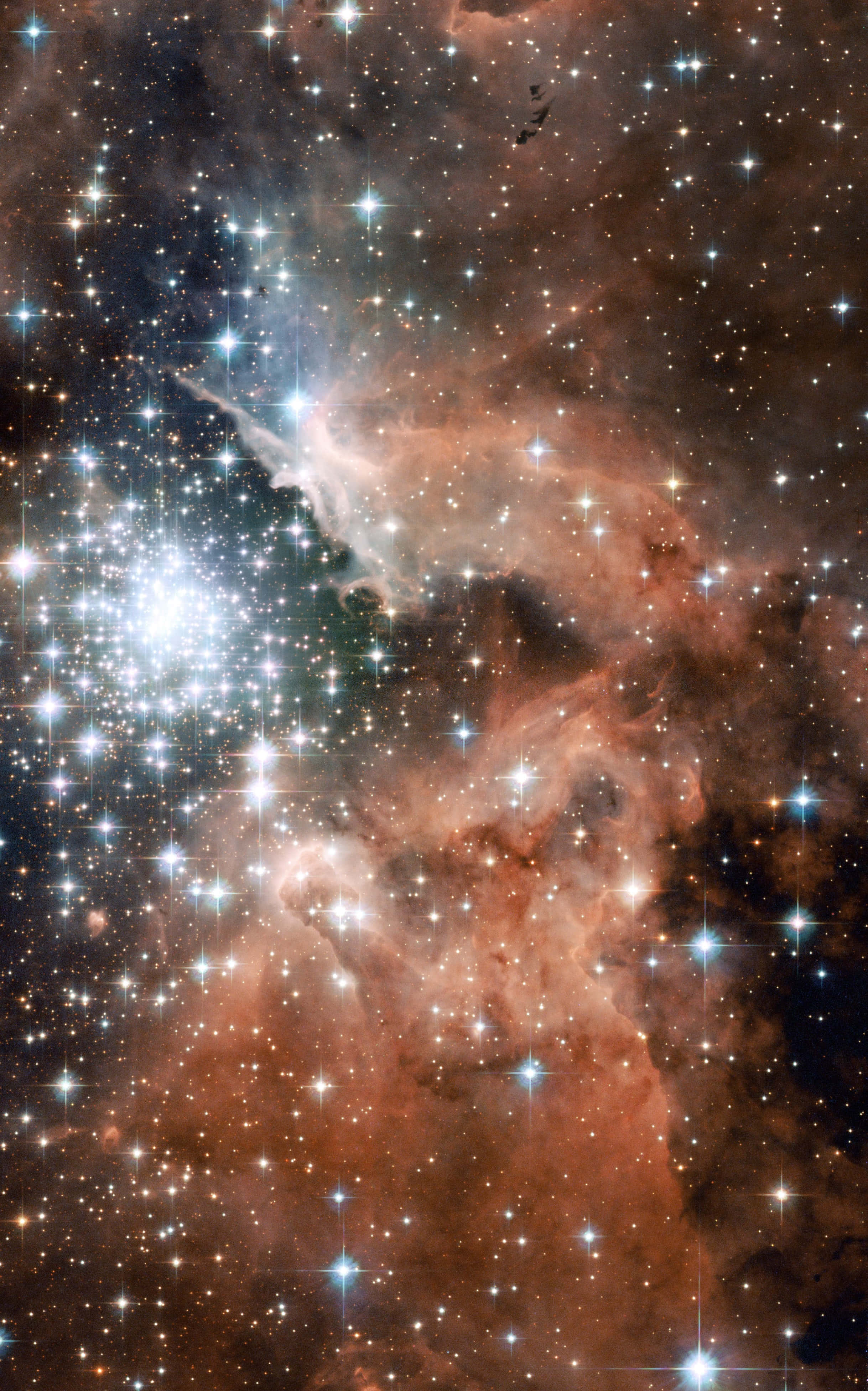 Star Cluster 桌布 壁紙 — 一個令人眼花繚亂的宇宙場景，充滿明亮的星星和發光的橙色星雲，映襯著黑暗的虛空。