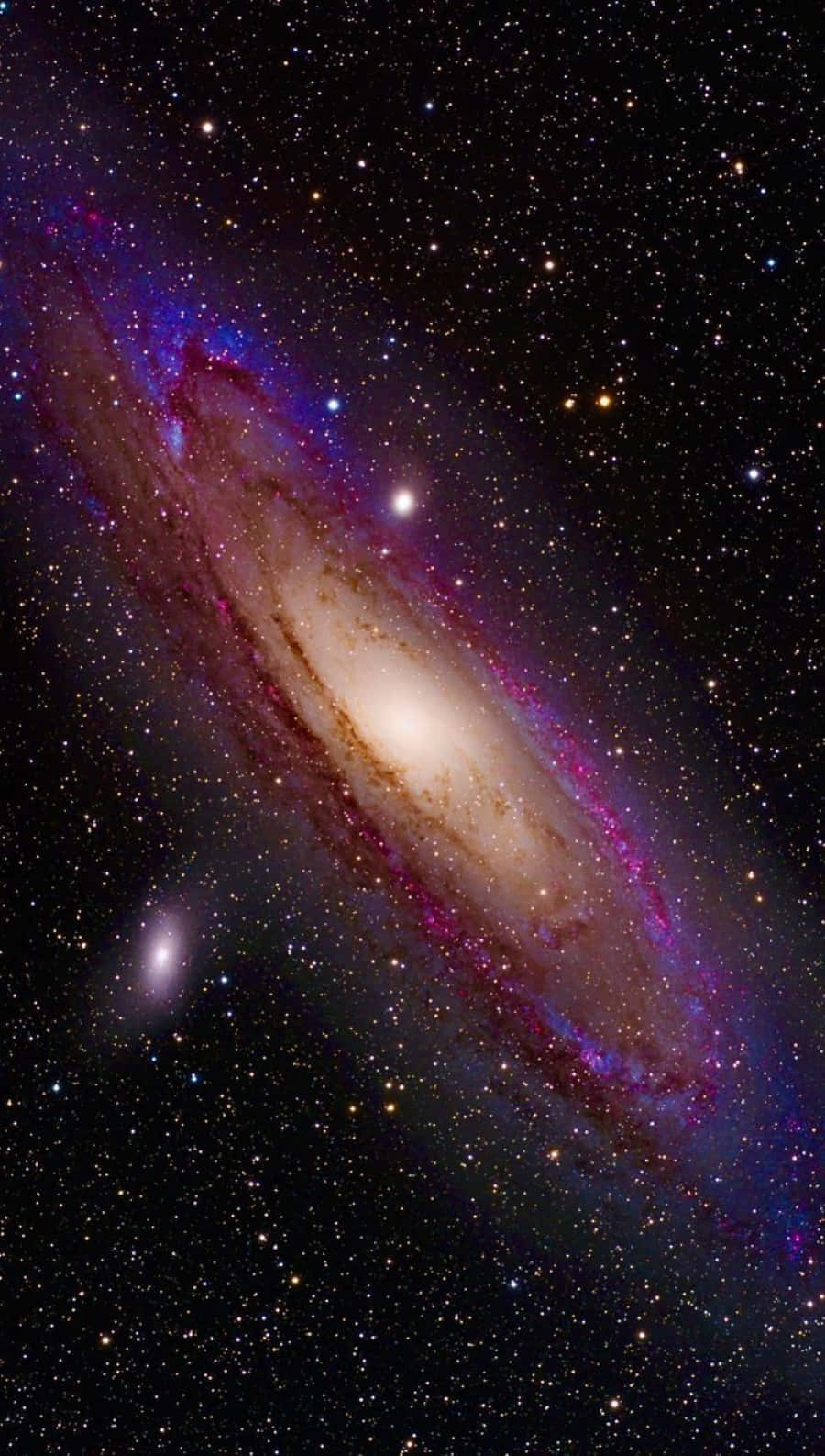 Whirlpool Galaxy 桌布 壁紙 — 一個令人驚嘆的螺旋星系，帶有發光的紫色和金色旋臂，在深邃的黑色宇宙背景下，穿過星場旋轉。