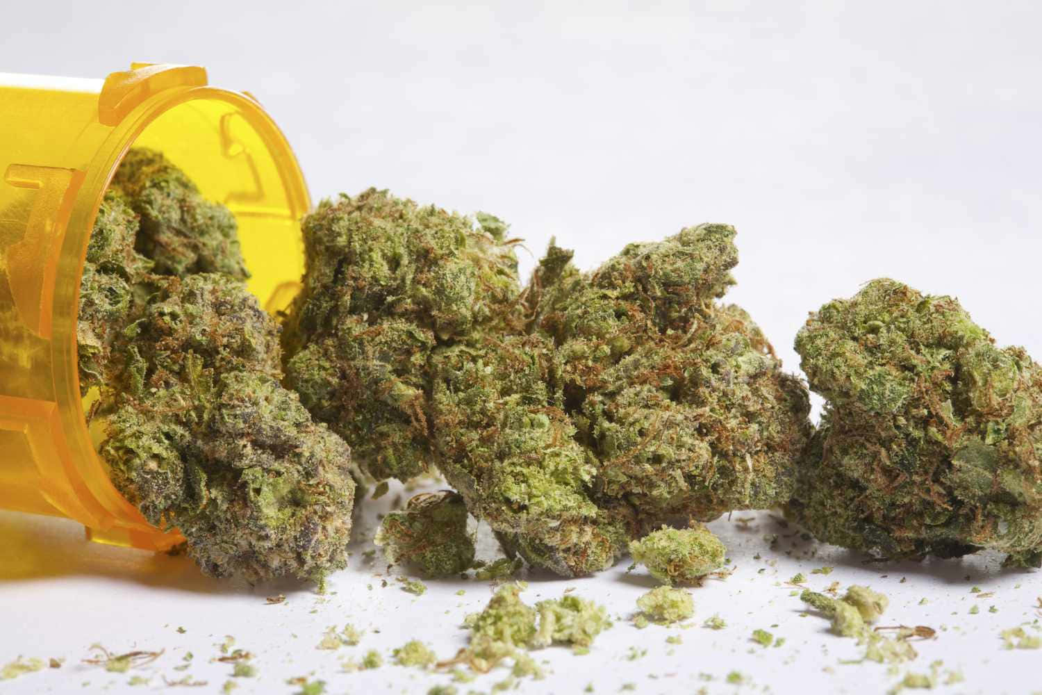 大麻 桌布 壁紙 — 一個倒下的黃色處方藥瓶，裝滿濃密的綠色大麻花蕾，襯著純白背景。