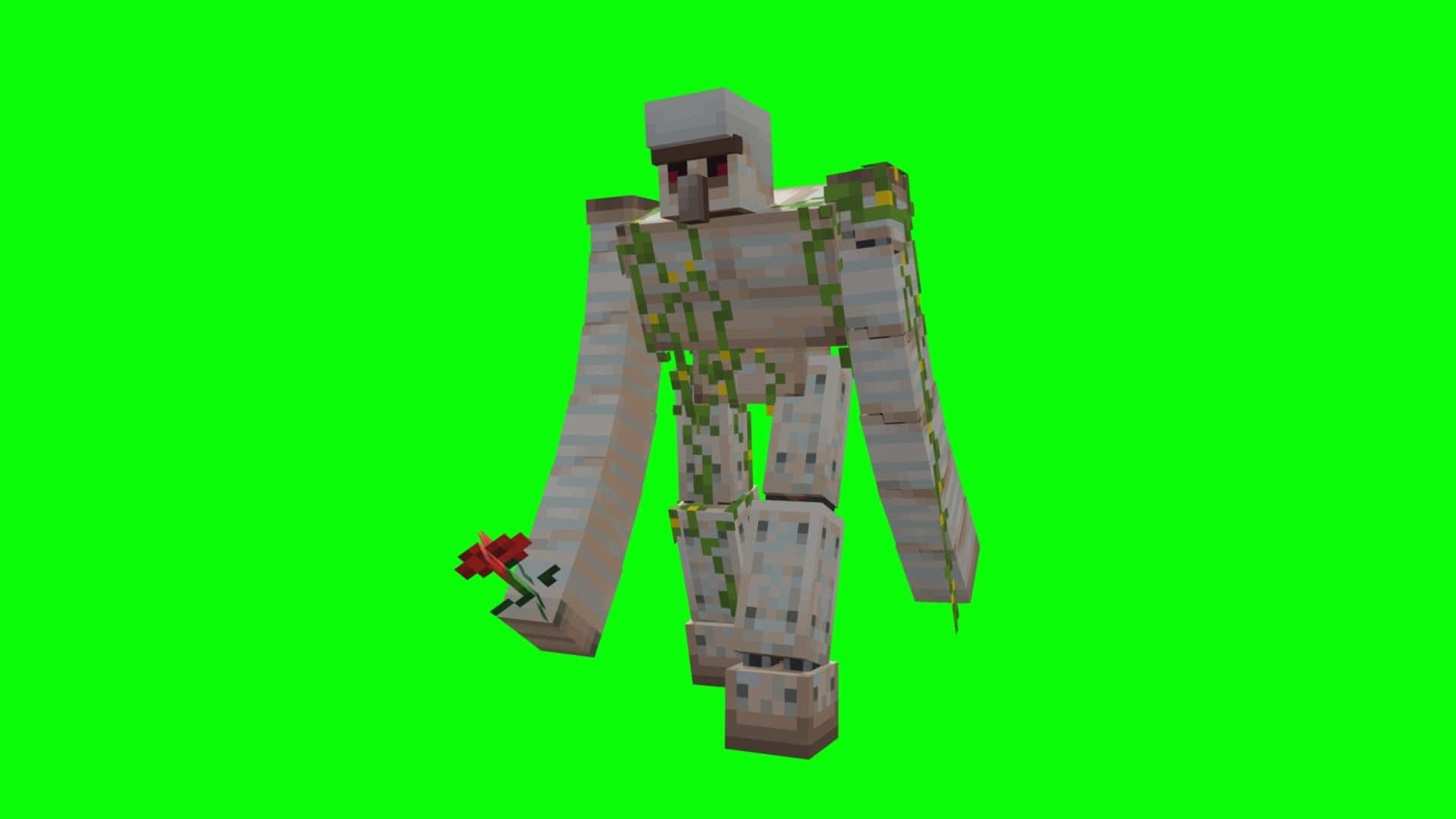 Minecraft Iron Golem 桌布 壁紙 — 一個像素化的Minecraft喪屍在純綠色屏幕背景前手持一朵紅花。