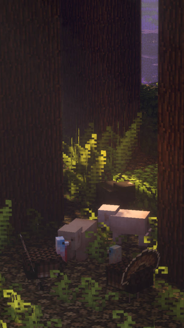 黑暗森林 桌布 壁紙 — 一個像素化的Minecraft場景顯示一隻豬和一個玩家角色在黑暗森林中，周圍有發光的綠色蕨類植物和高大的樹木。