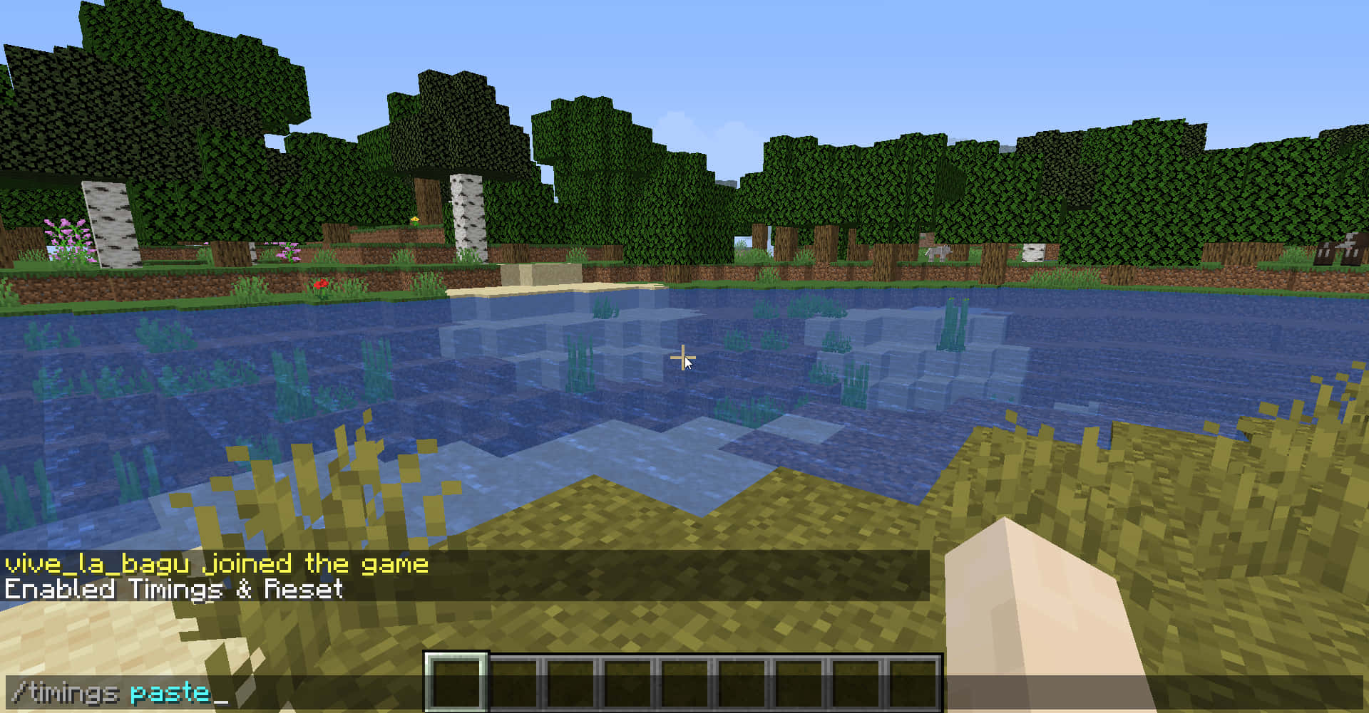 Minecraft Server 桌布 壁紙 — 一個像素化的Minecraft湖景，有方塊狀的樹木、草地，以及以第一人稱視角可見的玩家手部。