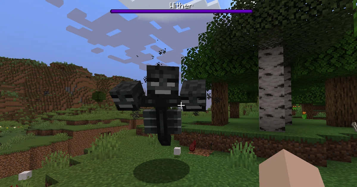 Minecraft Wither Boss 桌布 壁紙 — 一個像素化的凋零怪首領在Minecraft的草地生物群落中，伴隨著白樺樹和起伏的山丘，在陰天天空下威風凜凜地站立。