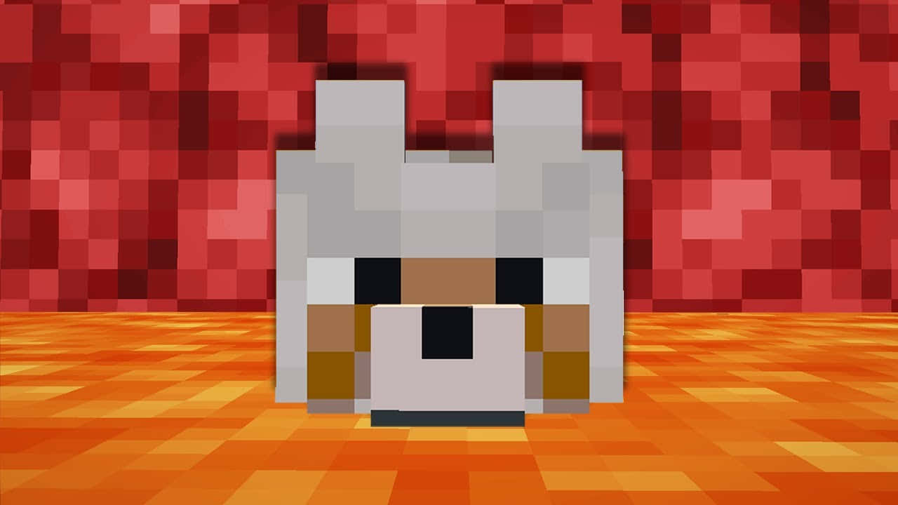 Minecraft Pets 桌布 壁紙 — 一個像素化的狐狸頭，灰色毛皮和橙色臉頰，坐在橙色地板上，背景是紅色像素化牆壁。