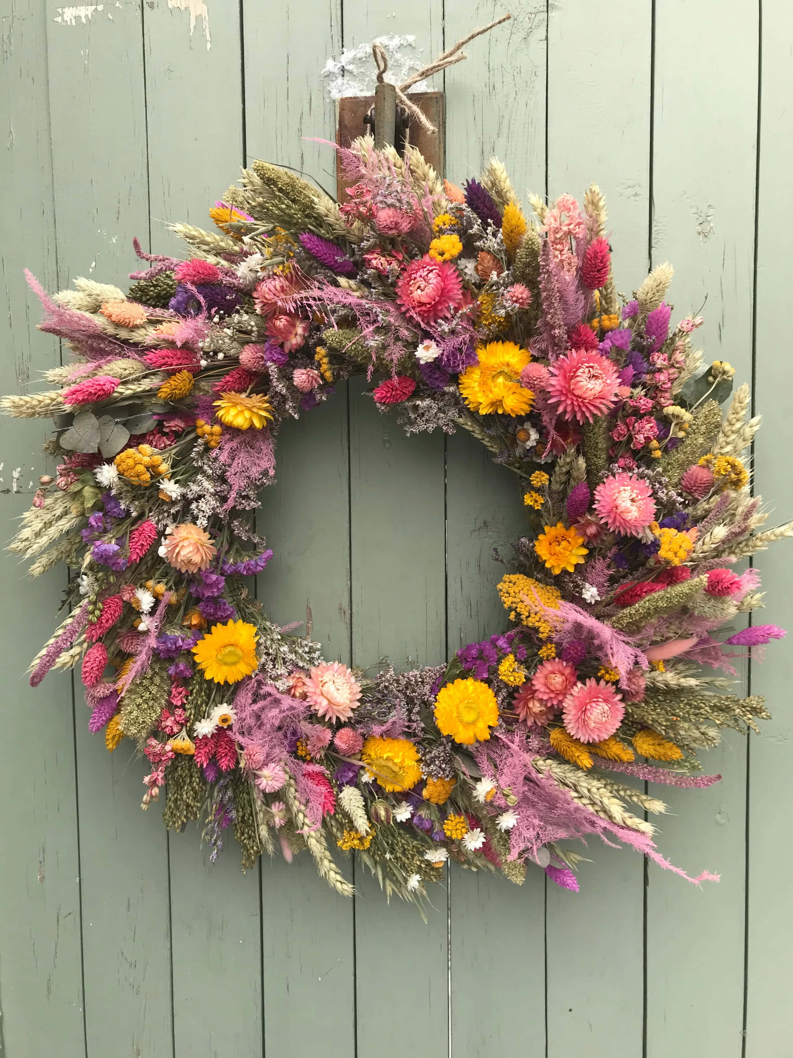 Spring Wreaths 桌布 壁紙 — 一個充滿活力的乾花花環，帶有粉紅色、黃色和紫色的花朵，掛在風化的鼠尾草綠色木門上。