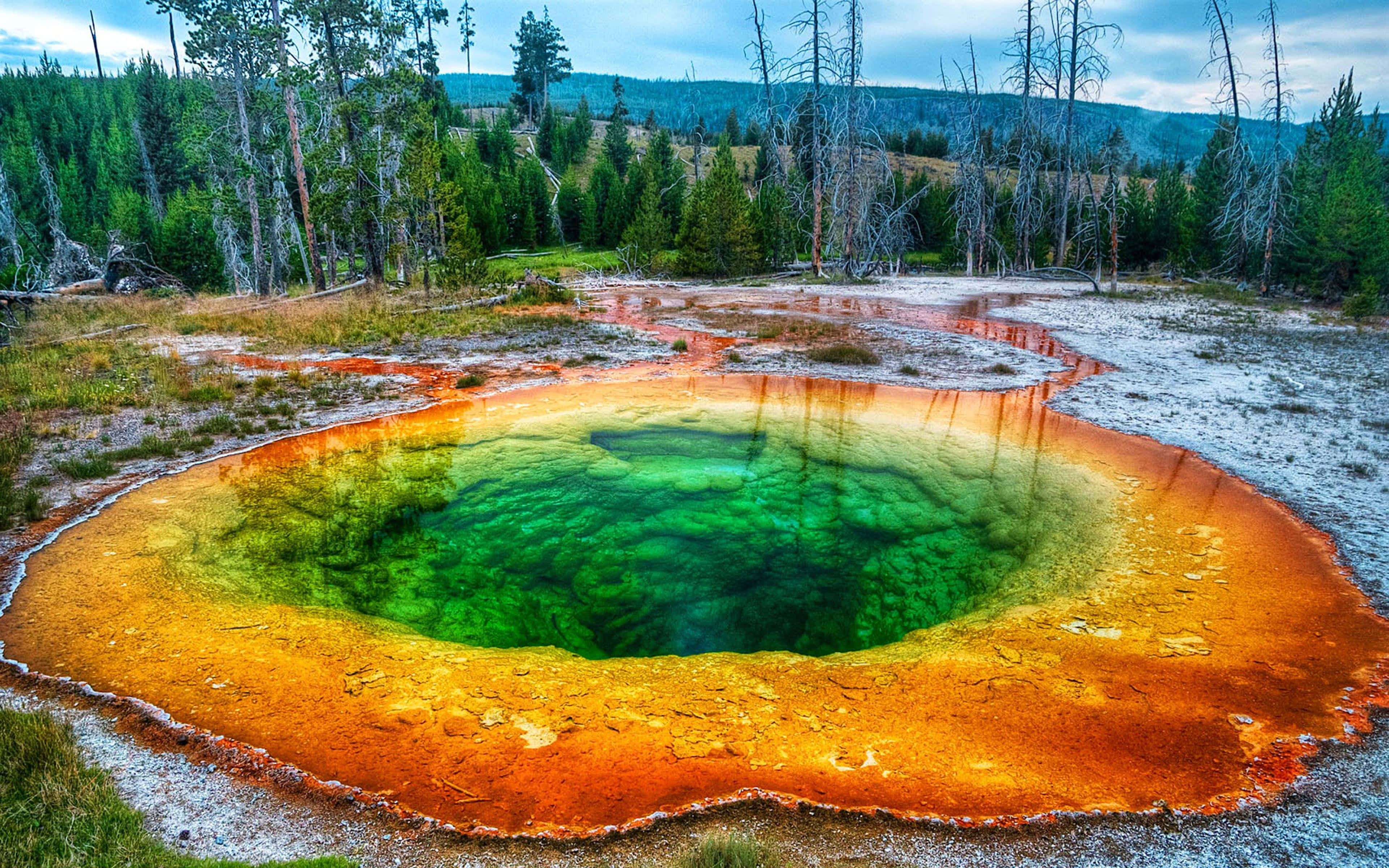 Yellowstone Geysers 桌布 壁紙 — 一個充滿活力的地熱池，帶有彩虹色的礦物環，在雲層密布的天空下，在森林荒野中閃耀。