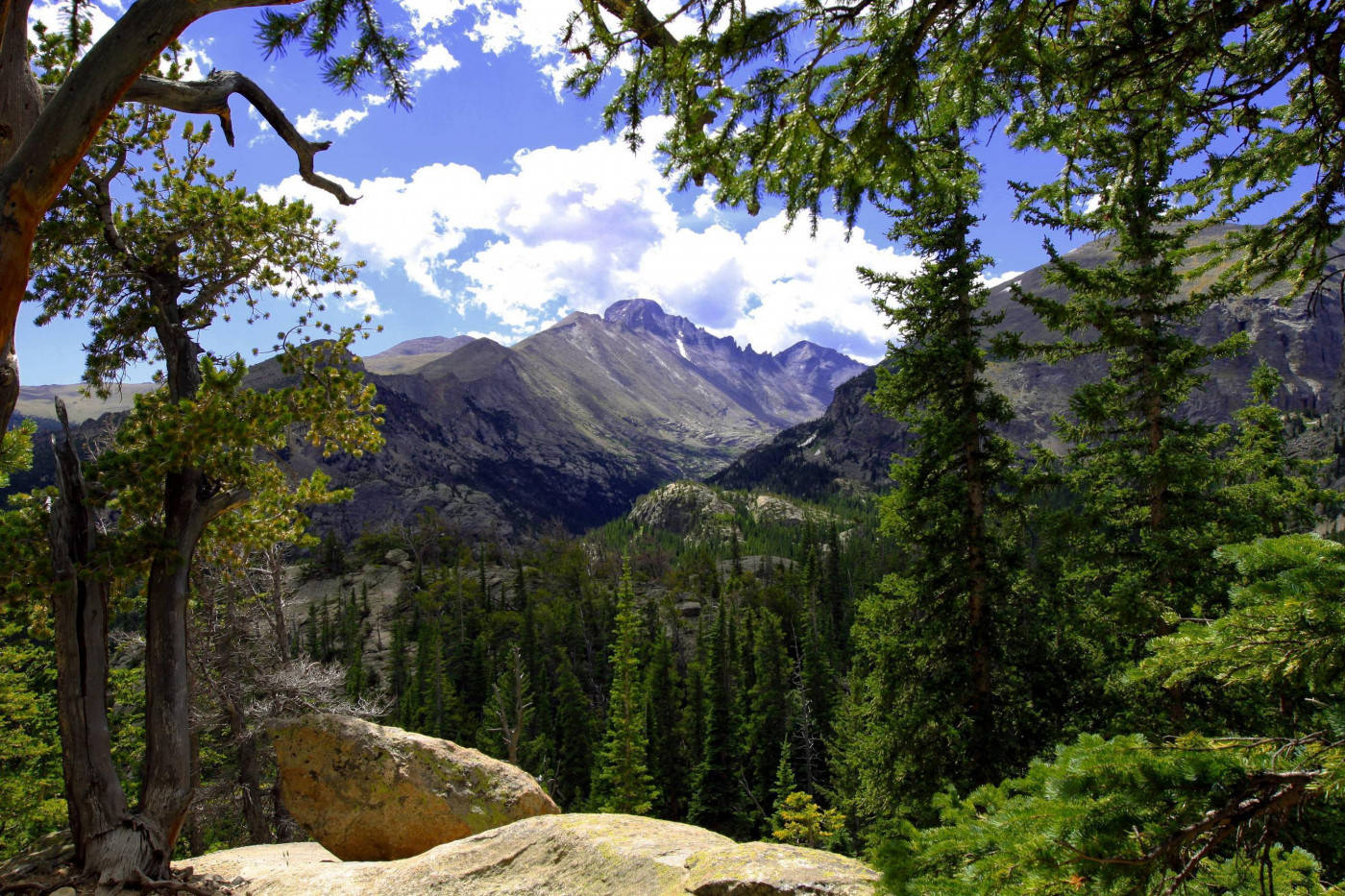 Mountain 桌布 壁紙 — 一個充滿活力的山谷，被松樹環繞，在明亮的藍天下有蓬鬆的白雲。