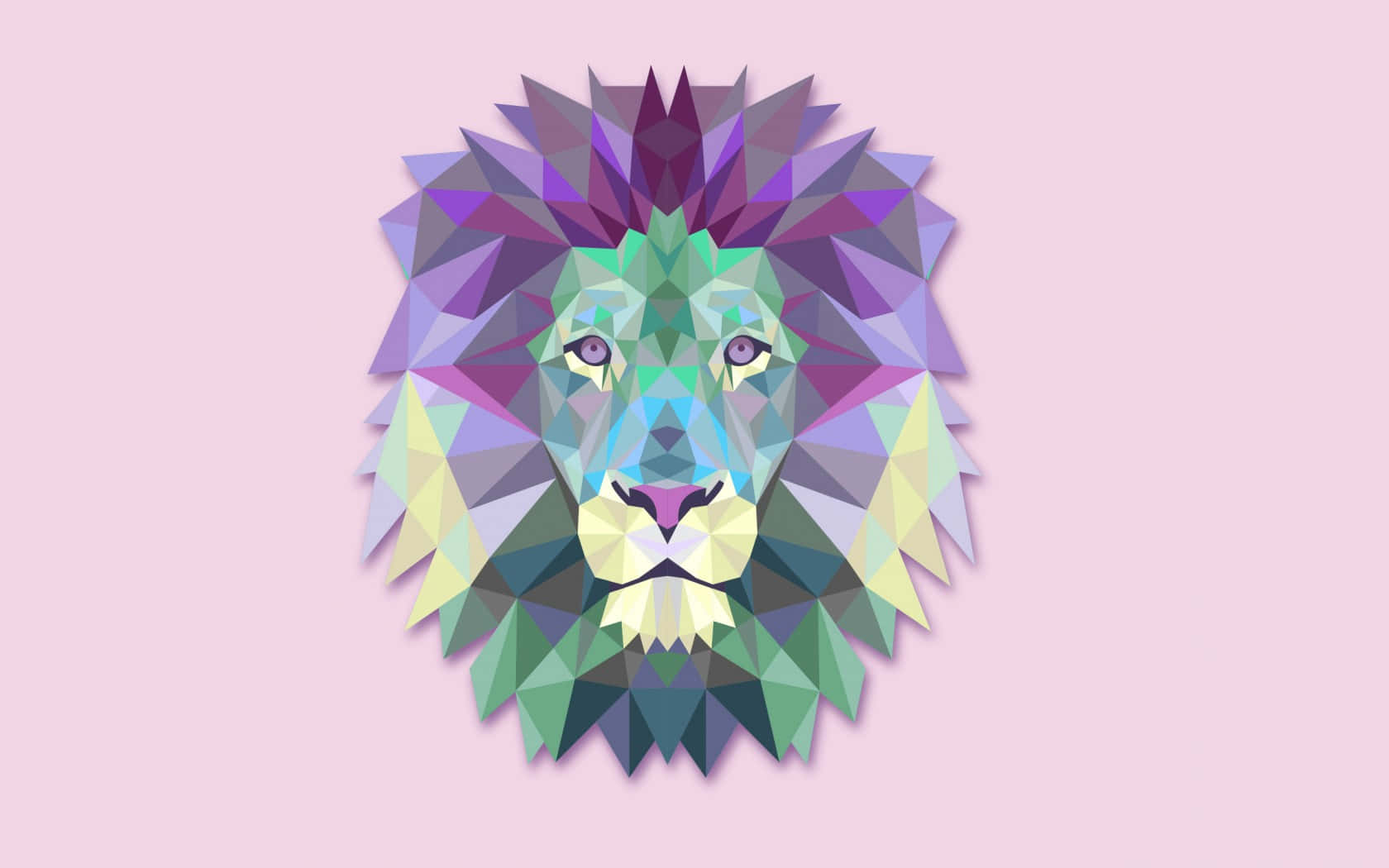Lions 桌布 壁紙 — 一個充滿活力的幾何獅子頭，帶有多色三角形切面，置於柔和的粉紅色背景上。