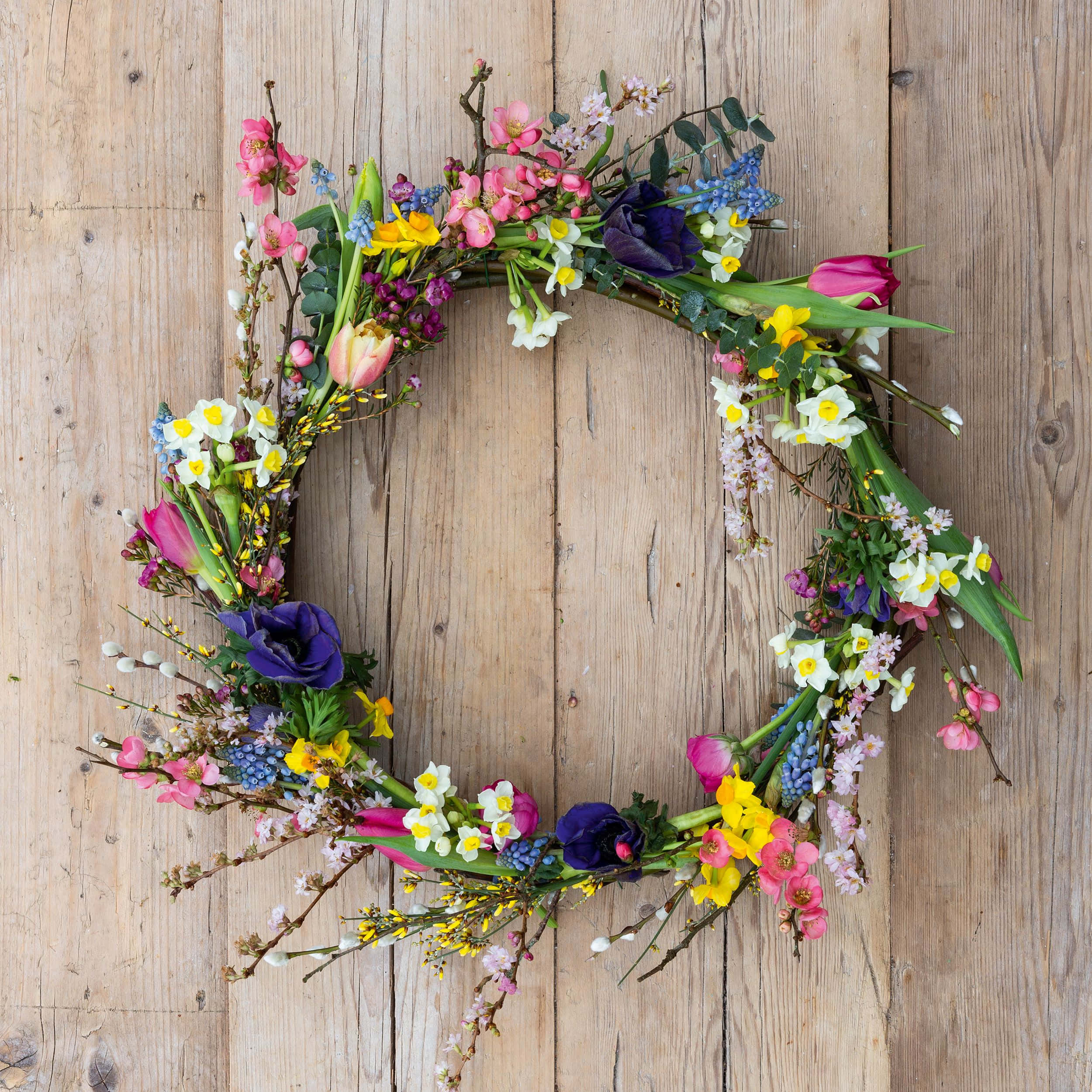 Spring Wreaths 桌布 壁紙 — 一個充滿活力的春日花卉花環，包含粉紅色鬱金香、紫色毛茛和黃色水仙花，放置在風化的木板上。