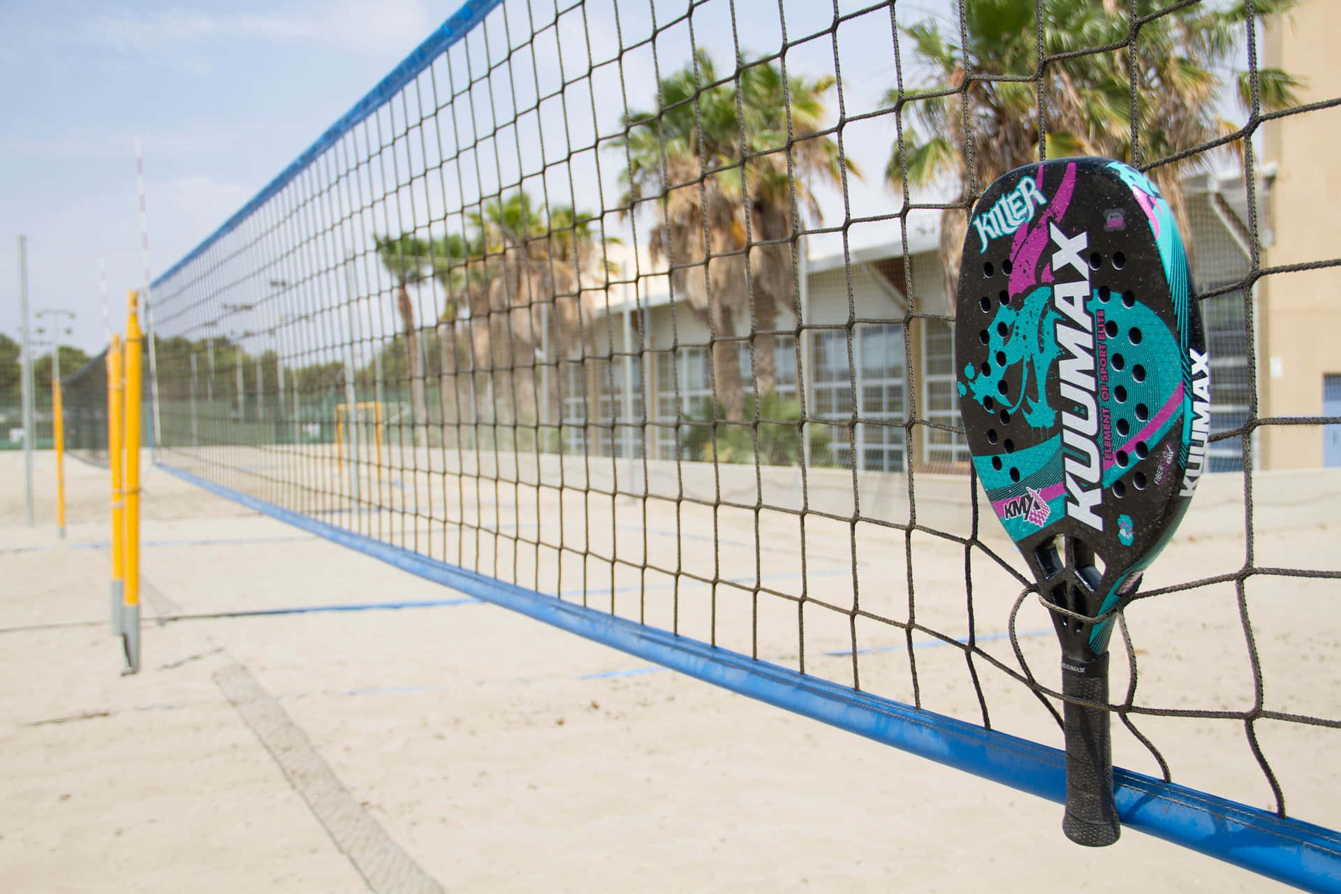 Beach Tennis 桌布 壁紙 — 一個充滿活力的板網球拍掛在室外場地的藍色網上，背景有棕櫚樹和建築物，天空晴朗。