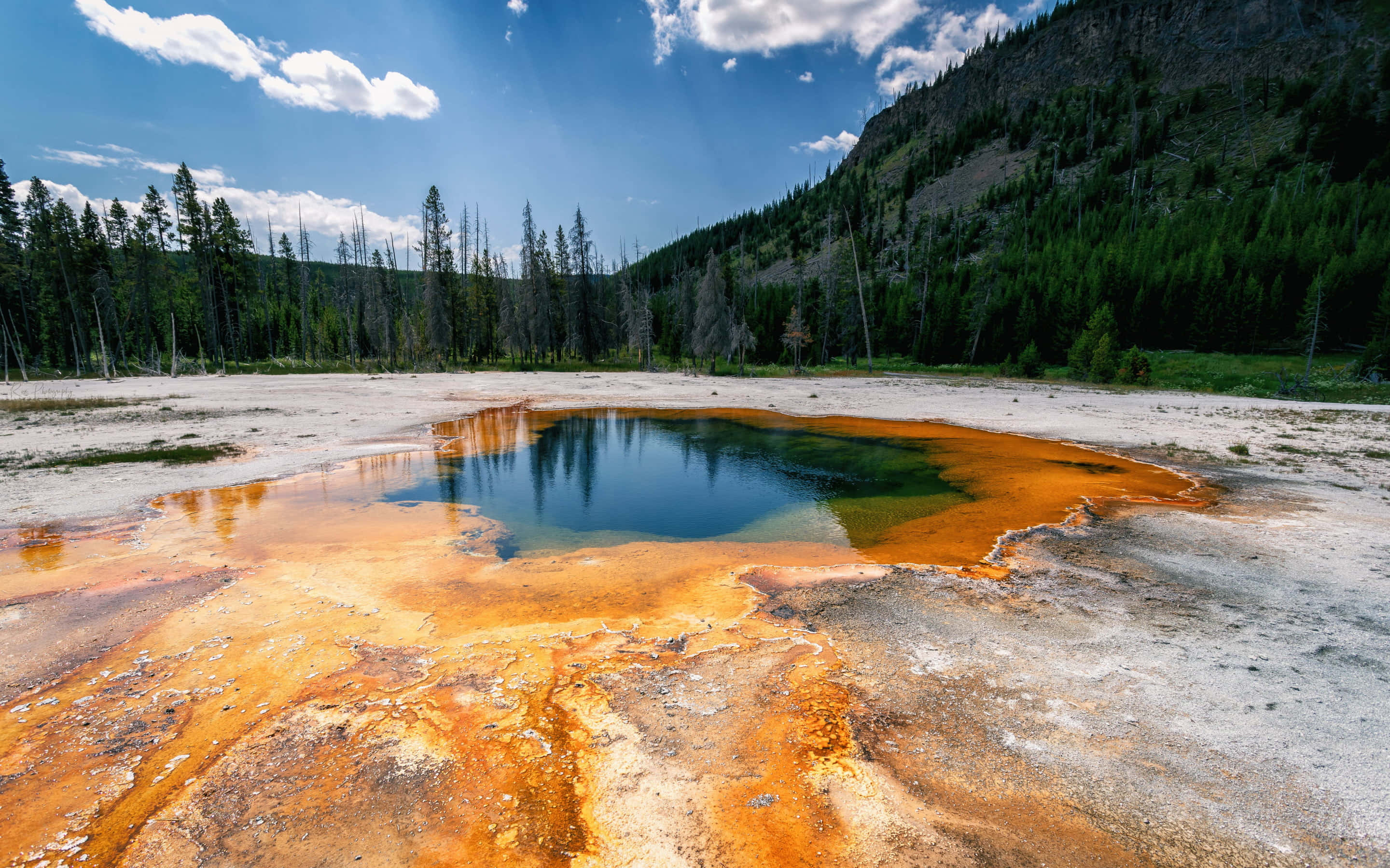 Yellowstone Geysers 桌布 壁紙 — 一個充滿活力的橙色礦物池倒映著清澈的藍天，周圍環繞著松樹林和岩石山坡。