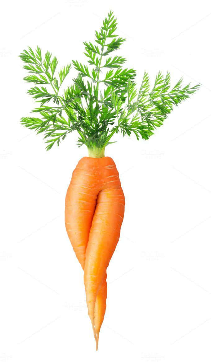 Carrot 桌布 壁紙 — 一個充滿活力的橙色胡蘿蔔，帶有茂盛的綠色葉子，直立於純白色背景前。