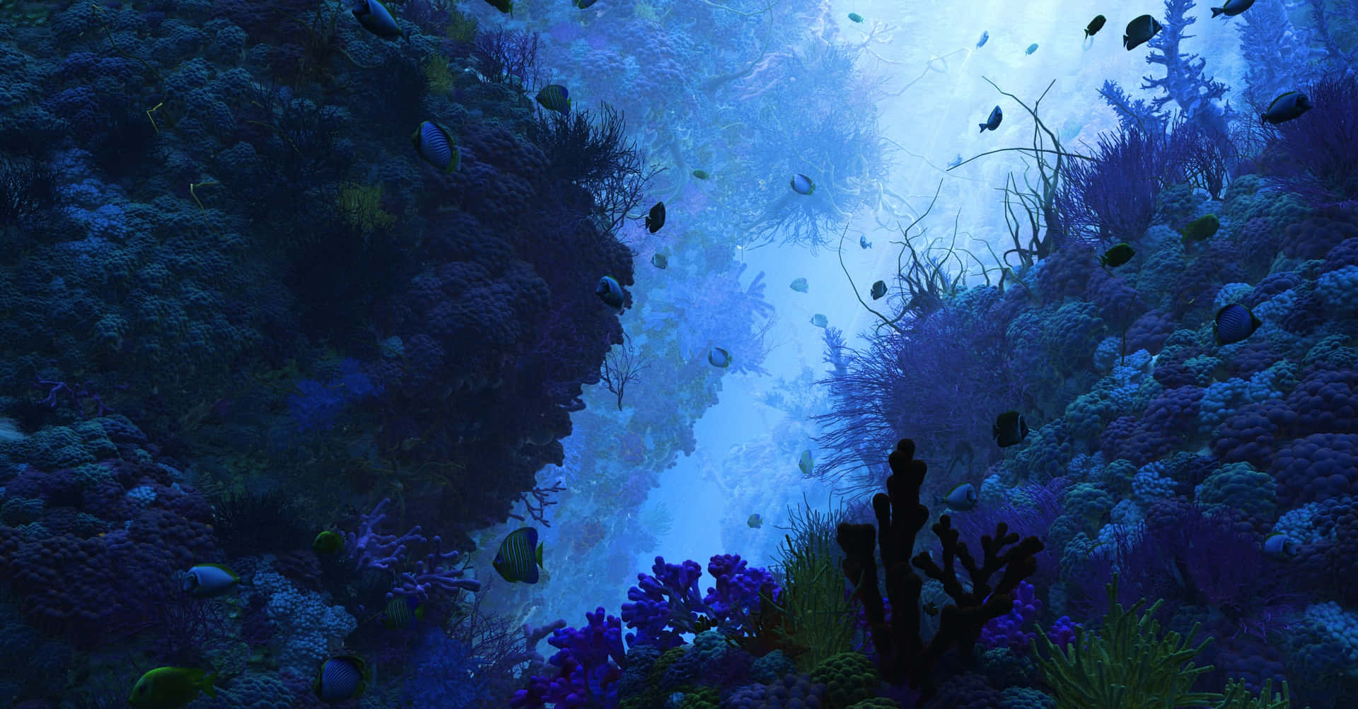 3d Ocean 桌布 壁紙 — 一個充滿活力的水下珊瑚峽谷，沐浴在藍光中，色彩繽紛的魚群穿梭於高聳的礁石結構之間。